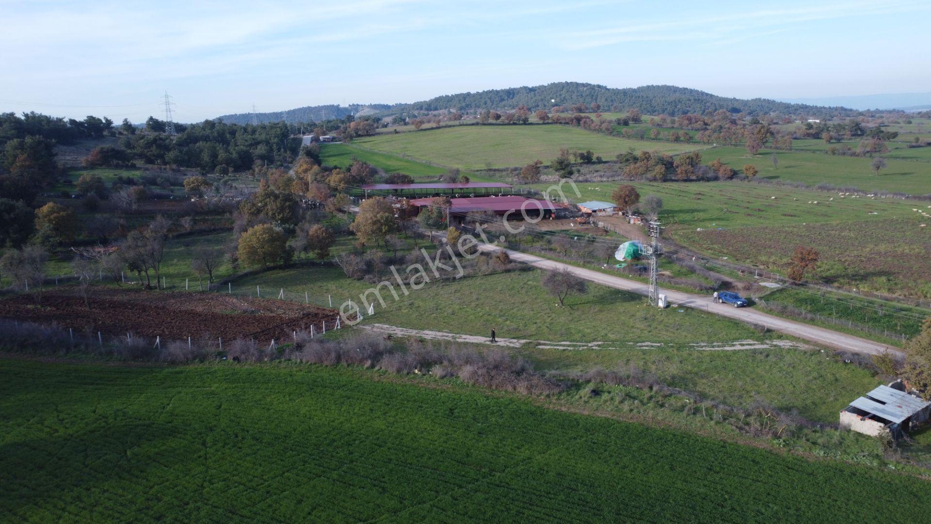 Çanakkale,ezine,karagömlek Köyünde Satılık Arsa Ve Tarla - Görsel 24