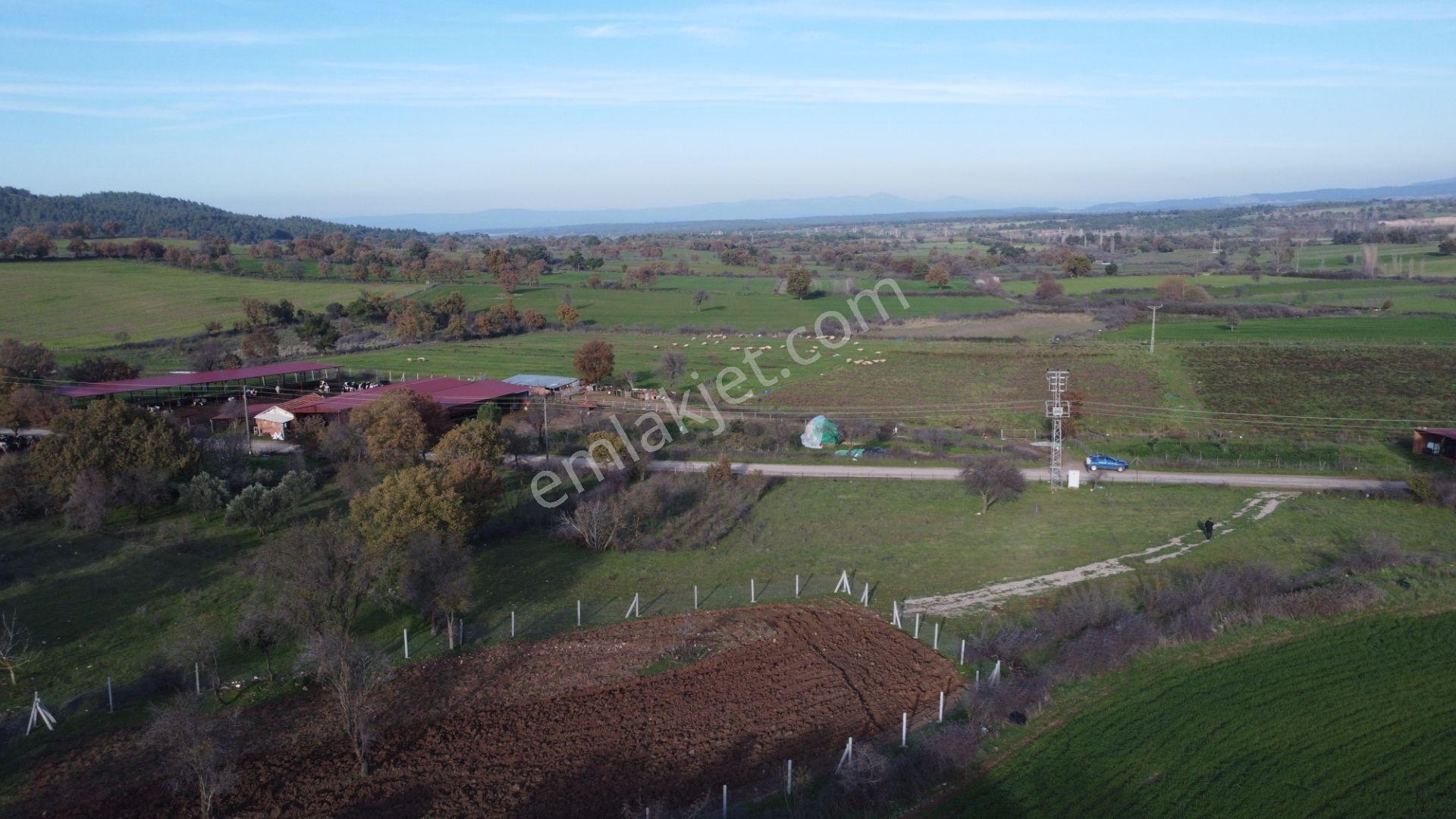 Çanakkale,ezine,karagömlek Köyünde Satılık Arsa Ve Tarla - Görsel 27