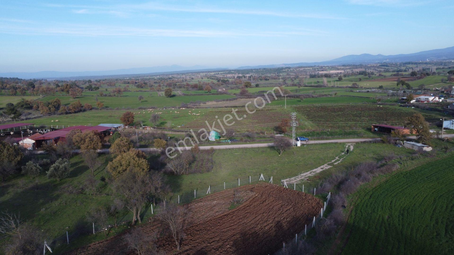 Çanakkale,ezine,karagömlek Köyünde Satılık Arsa Ve Tarla - Görsel 28