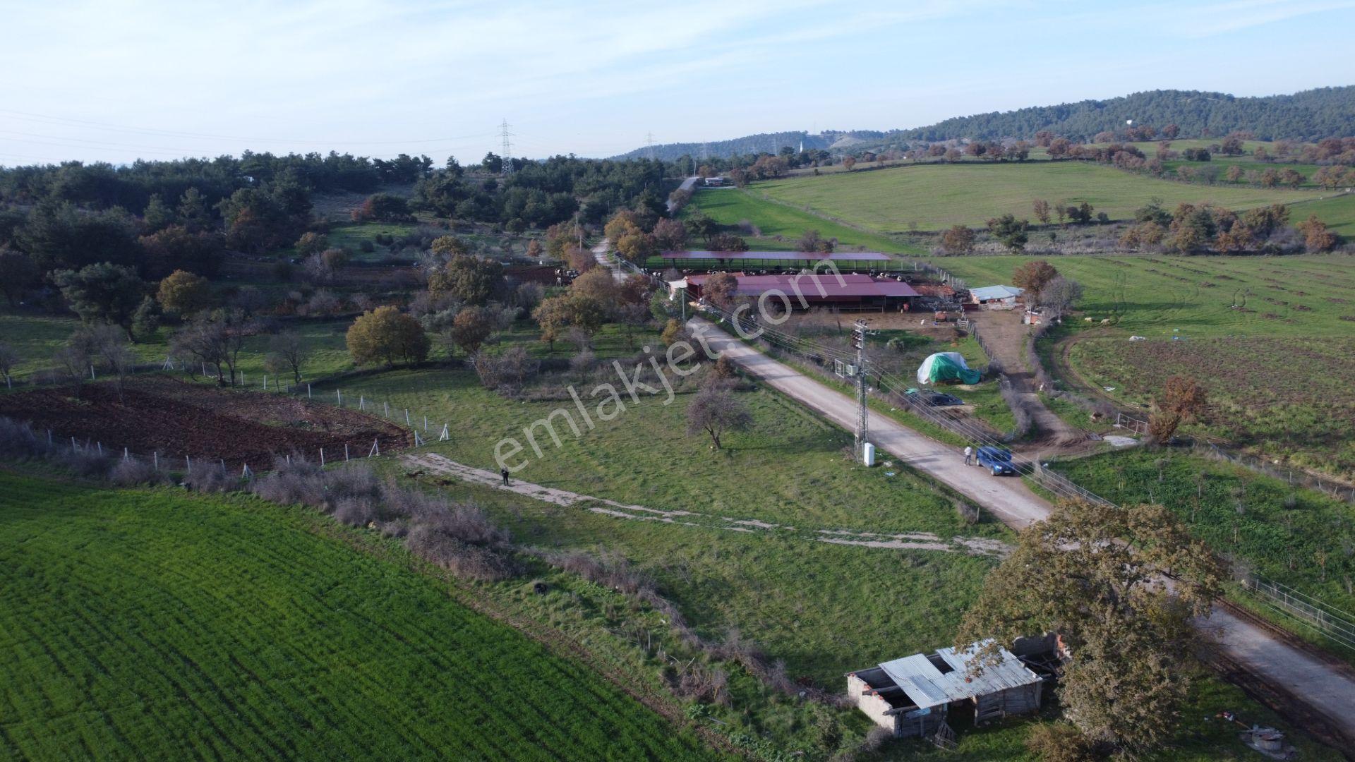 Çanakkale,ezine,karagömlek Köyünde Satılık Arsa Ve Tarla - Görsel 23