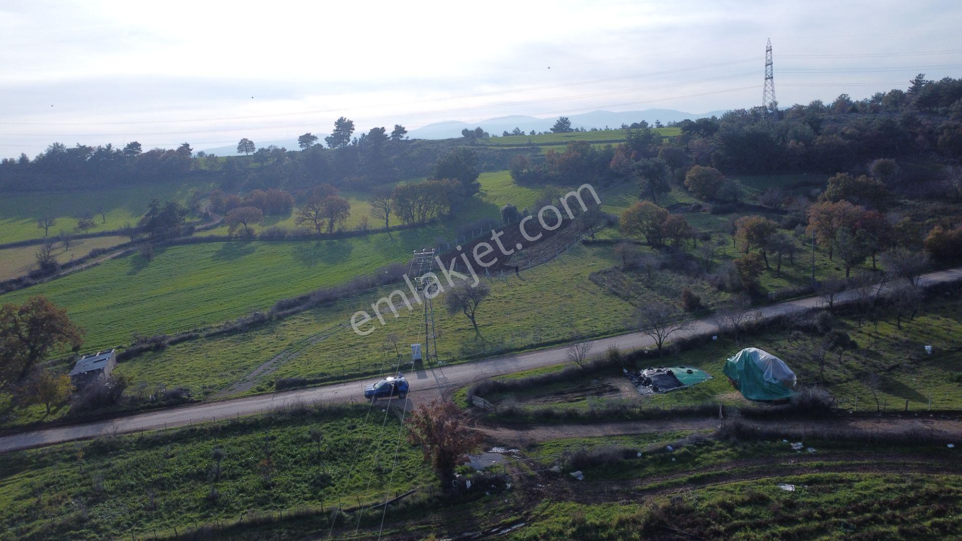 Çanakkale,ezine,karagömlek Köyünde Satılık Arsa Ve Tarla - Görsel 17