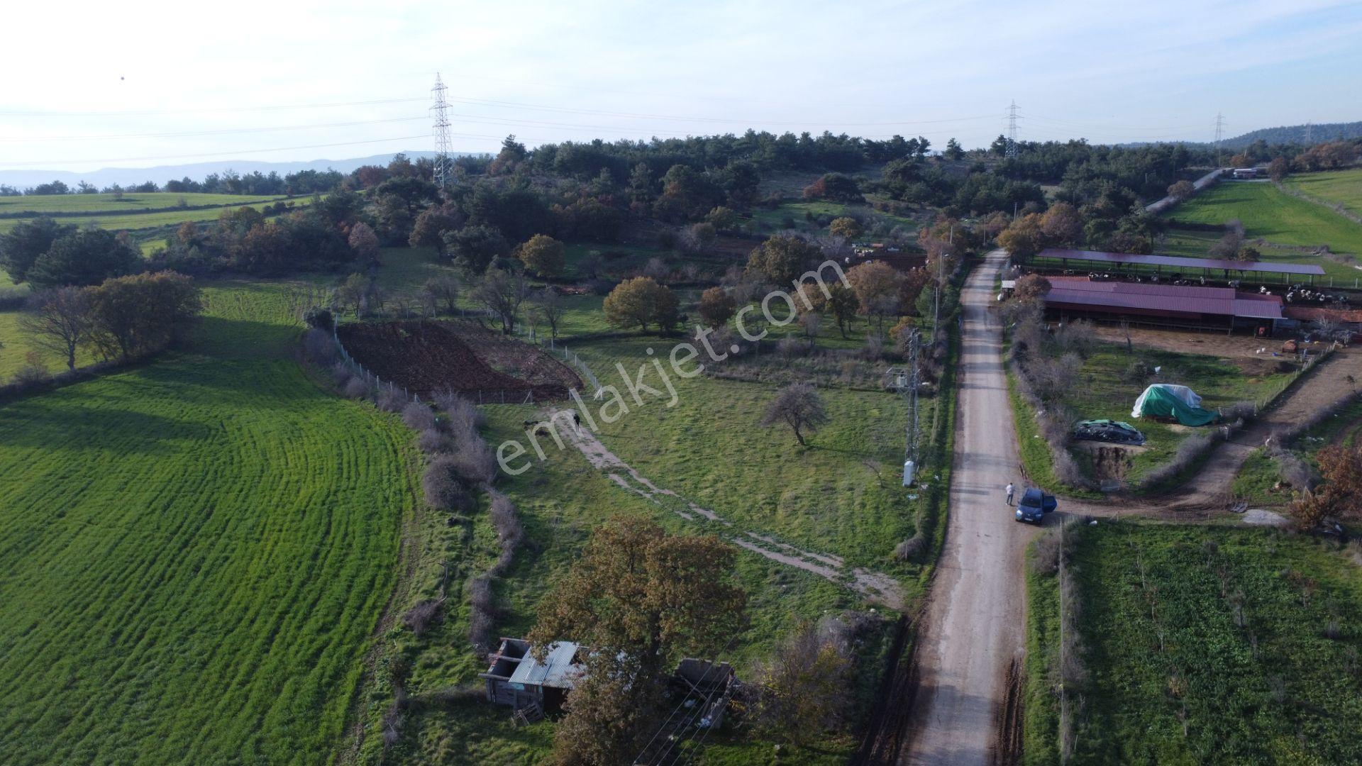 Çanakkale,ezine,karagömlek Köyünde Satılık Arsa Ve Tarla - Görsel 22