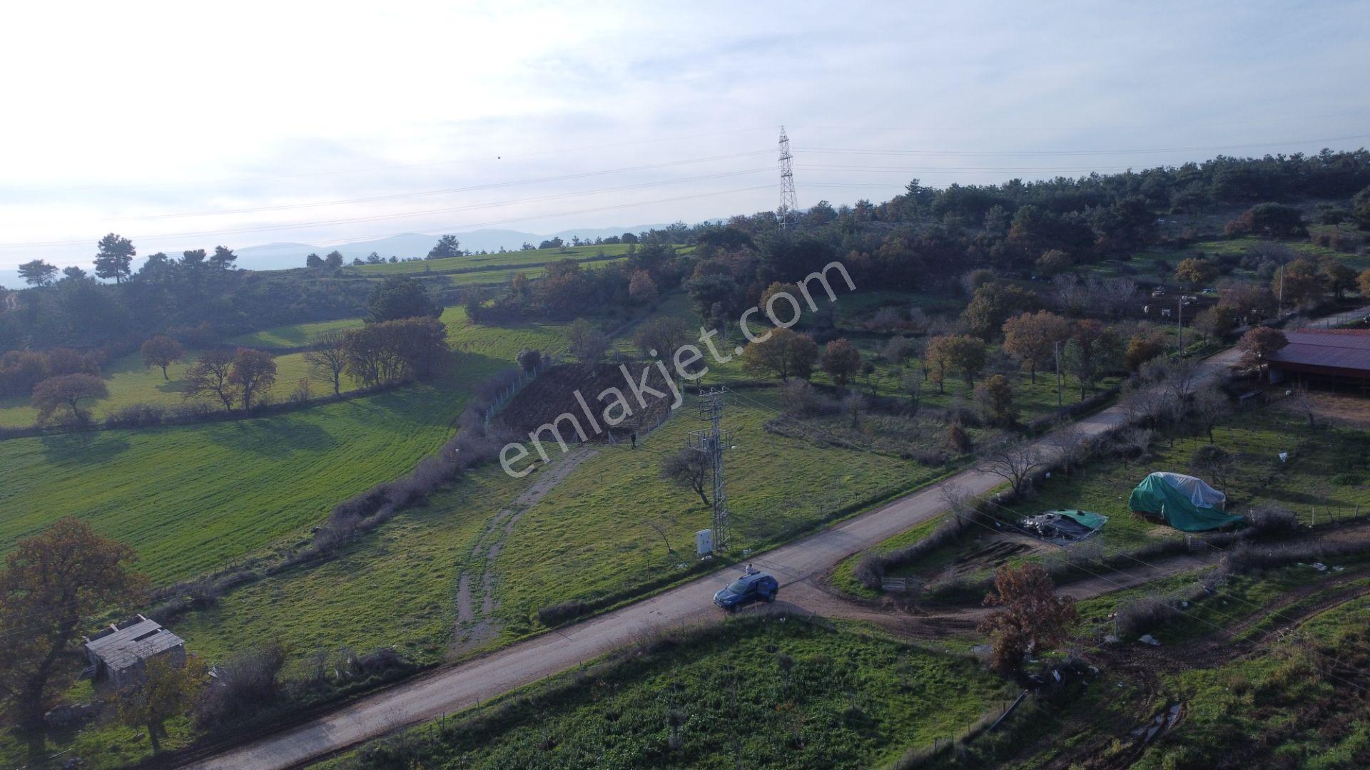 Çanakkale,ezine,karagömlek Köyünde Satılık Arsa Ve Tarla - Görsel 19