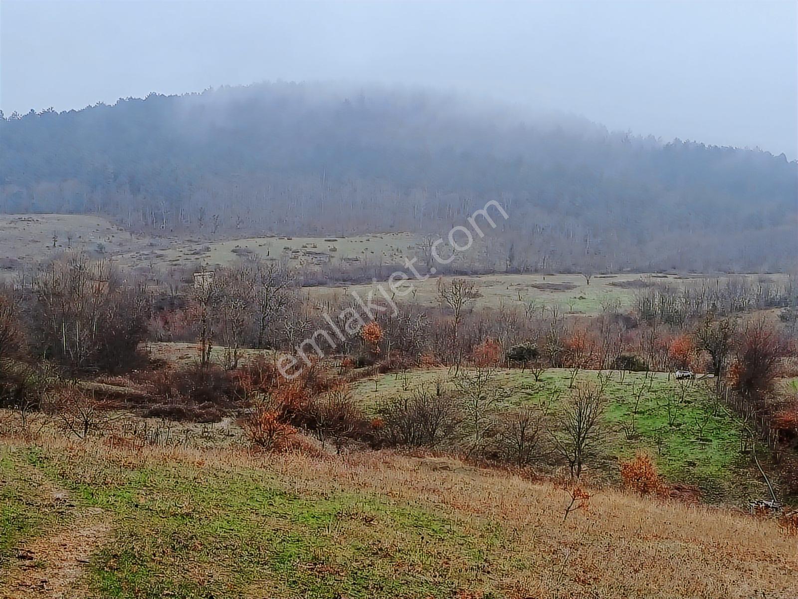 Çınar Gayrimenkulden Köy İçinde 2.250 M2 Satılık İmarlı Arsa - Görsel 9