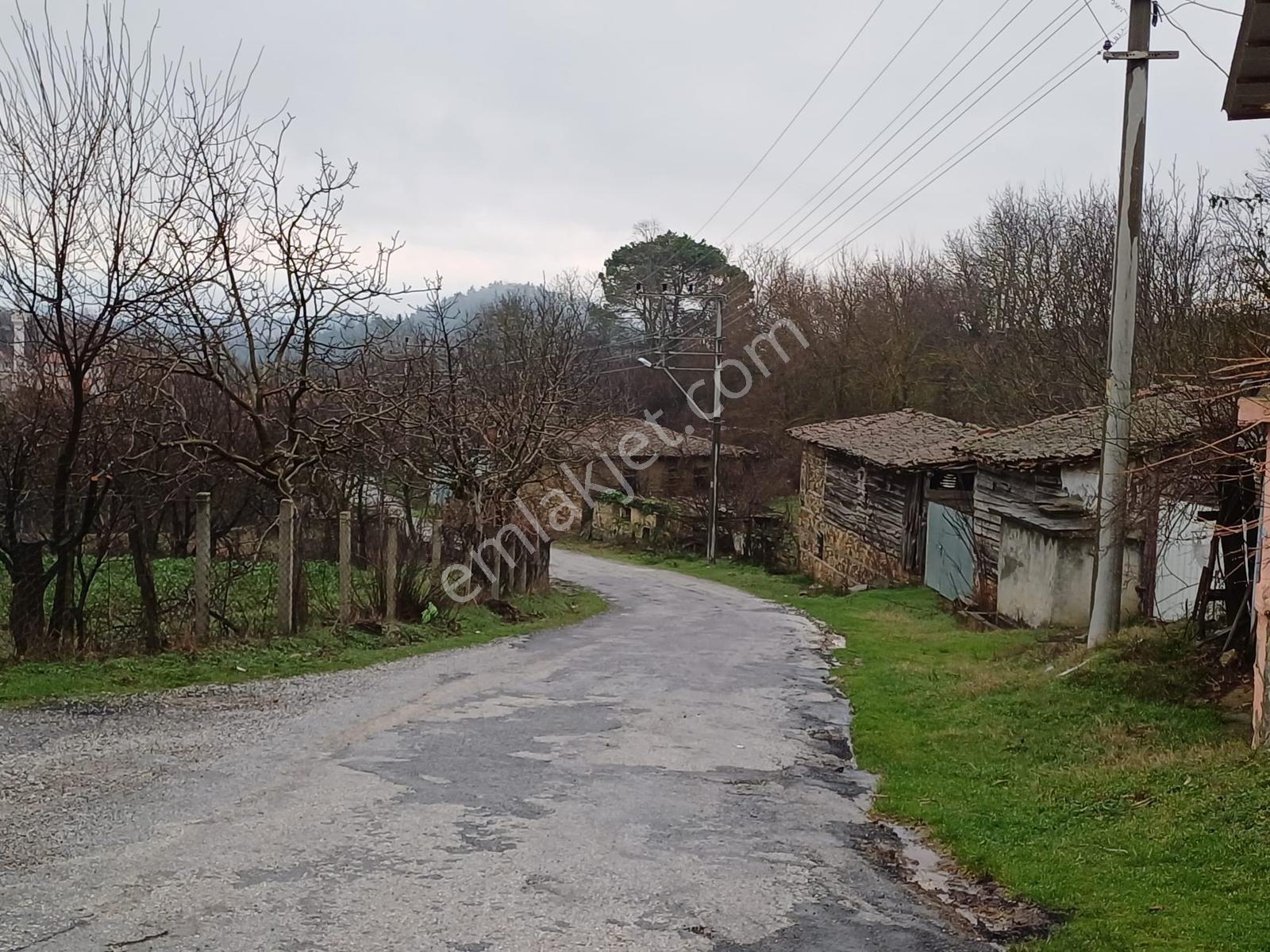 Çınar Gayrimenkulden Köy İçinde 2.250 M2 Satılık İmarlı Arsa - Görsel 14