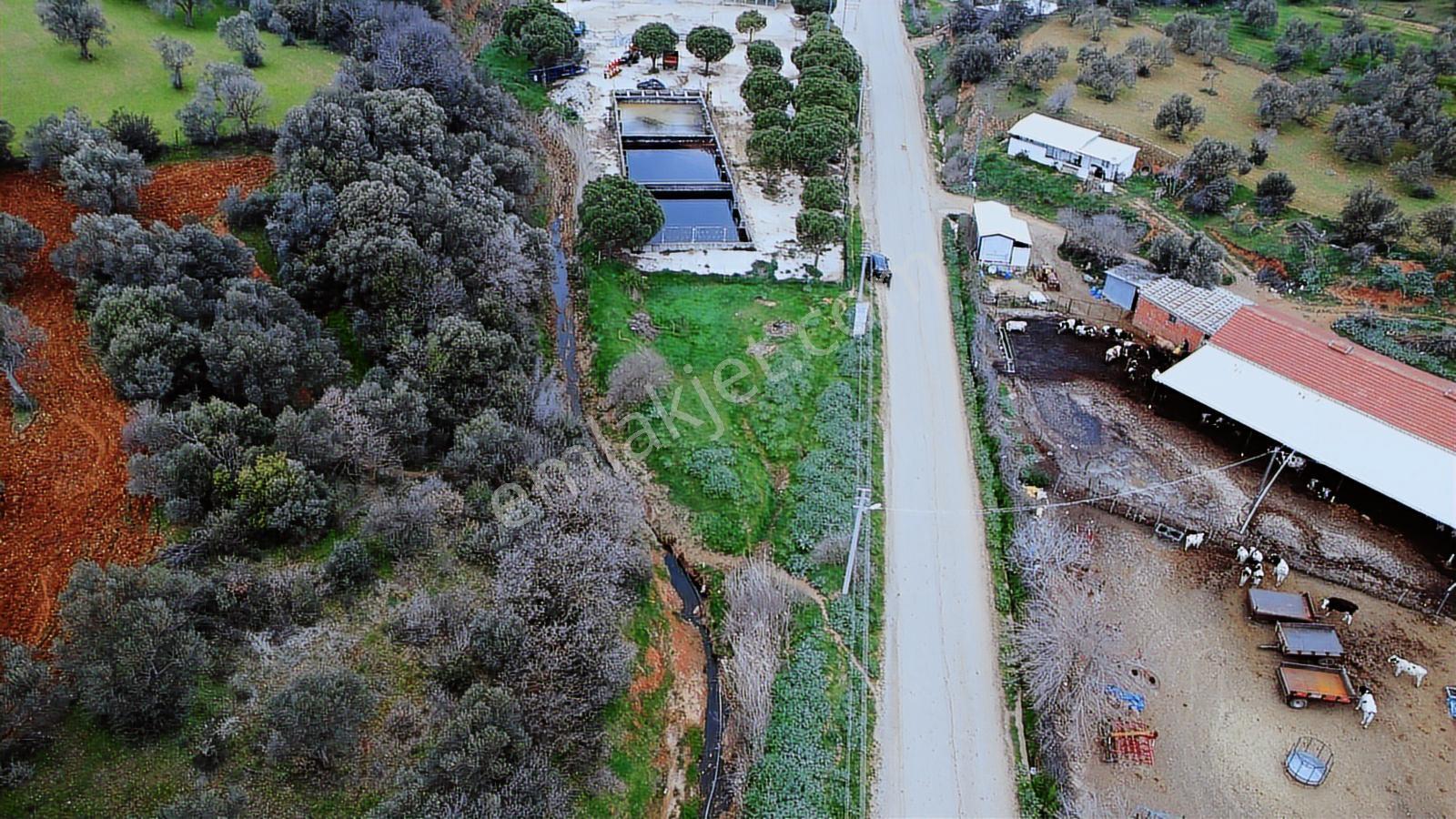Yola Cepheli İmarlı Satılık Arsa - Görsel 3