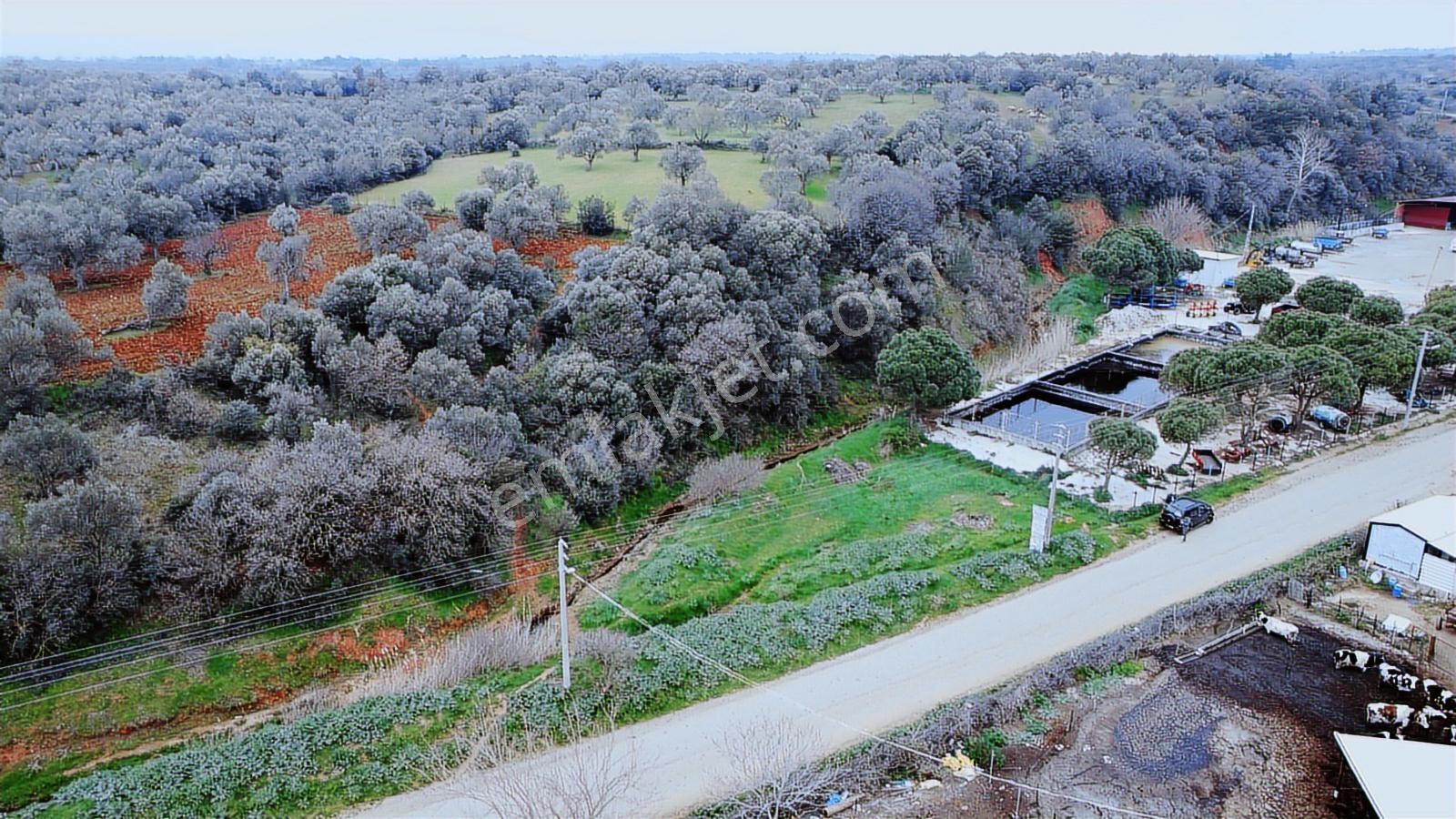 Yola Cepheli İmarlı Satılık Arsa - Görsel 10