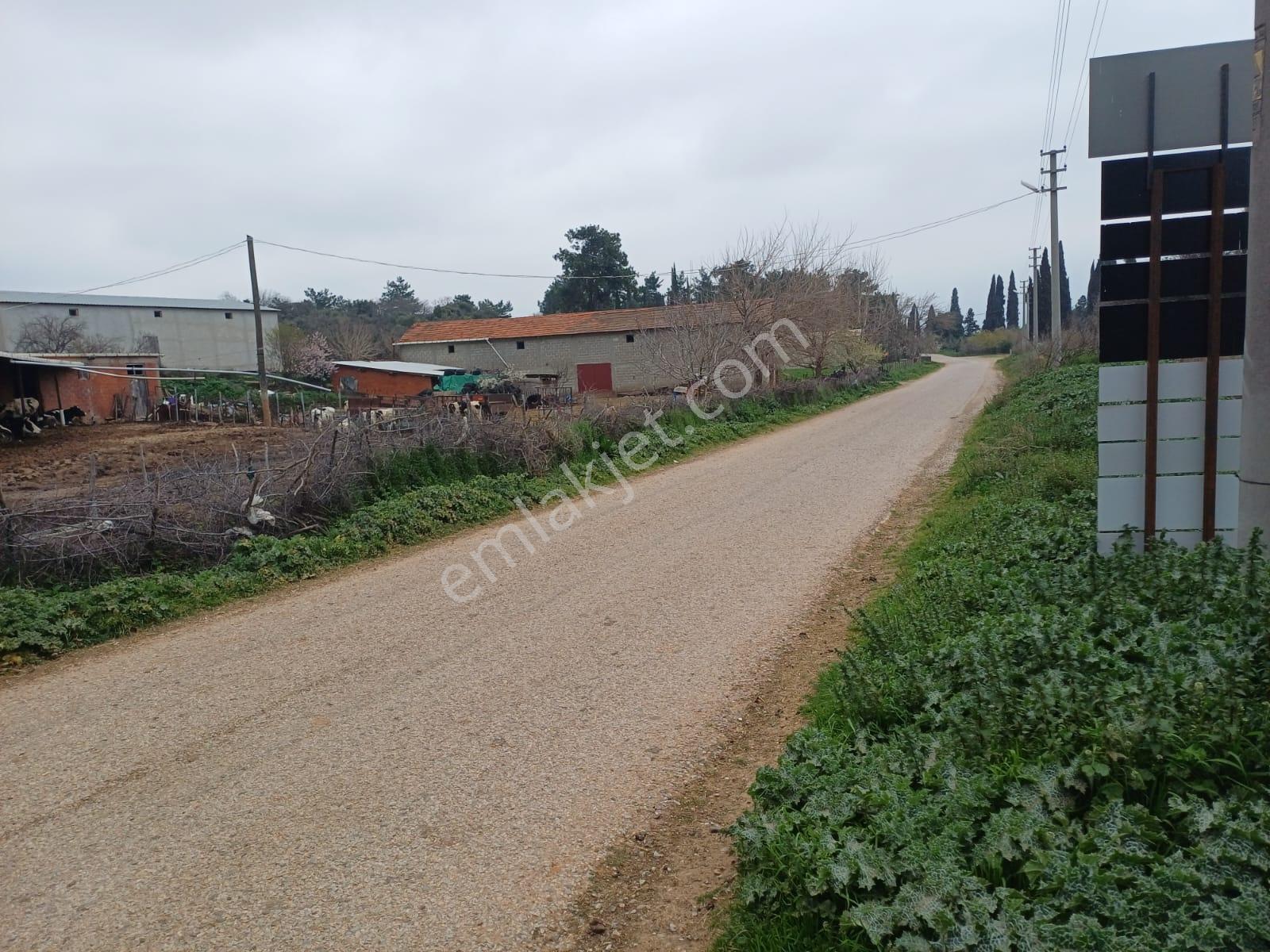 Yola Cepheli İmarlı Satılık Arsa - Görsel 18