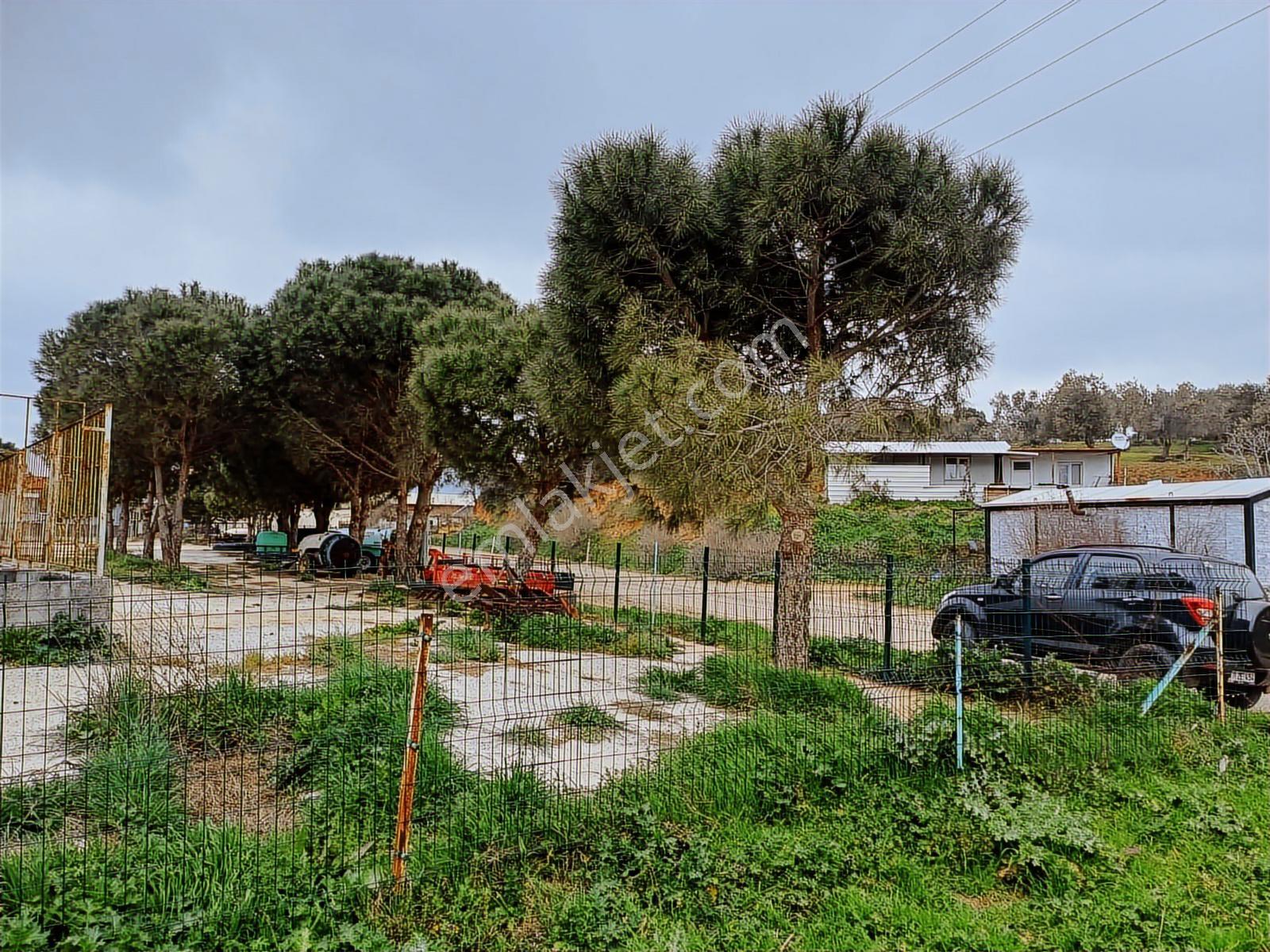 Yola Cepheli İmarlı Satılık Arsa - Görsel 7