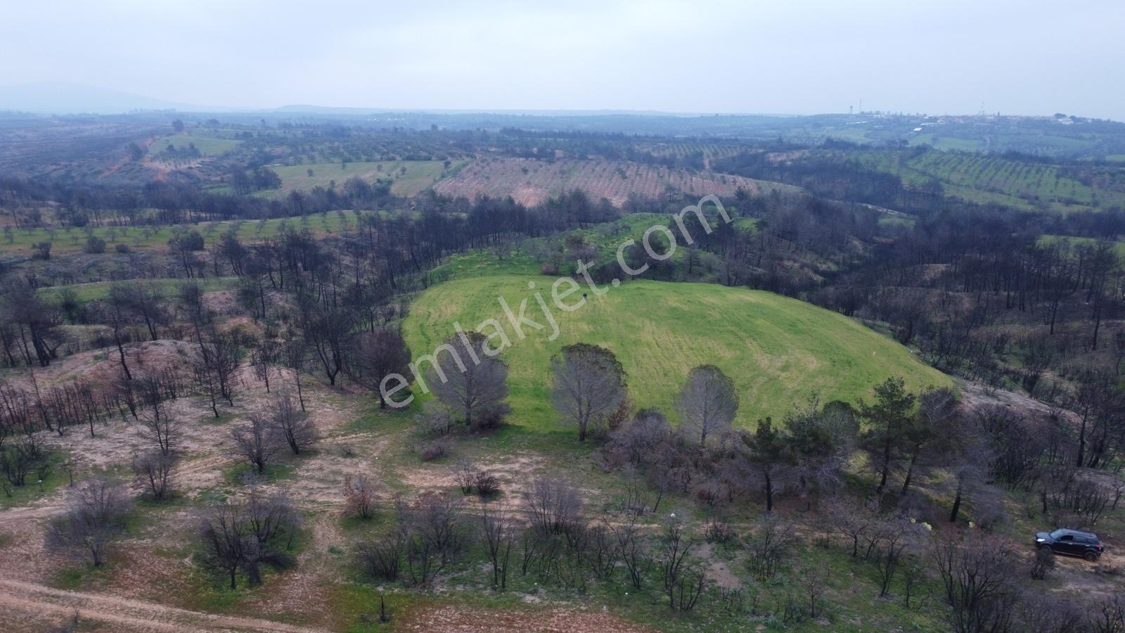 Bayramiç Saçaklı Köyünde 4200 M² Satılık Arazi - Görsel 3