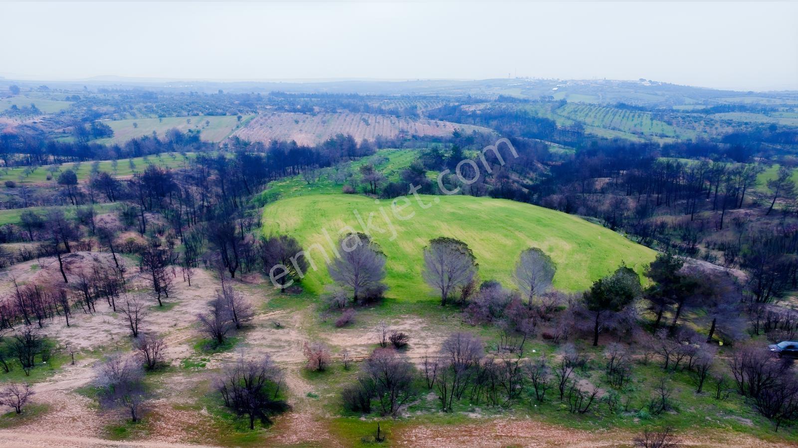Bayramiç Saçaklı Köyünde 4200 M² Satılık Arazi - Görsel 16