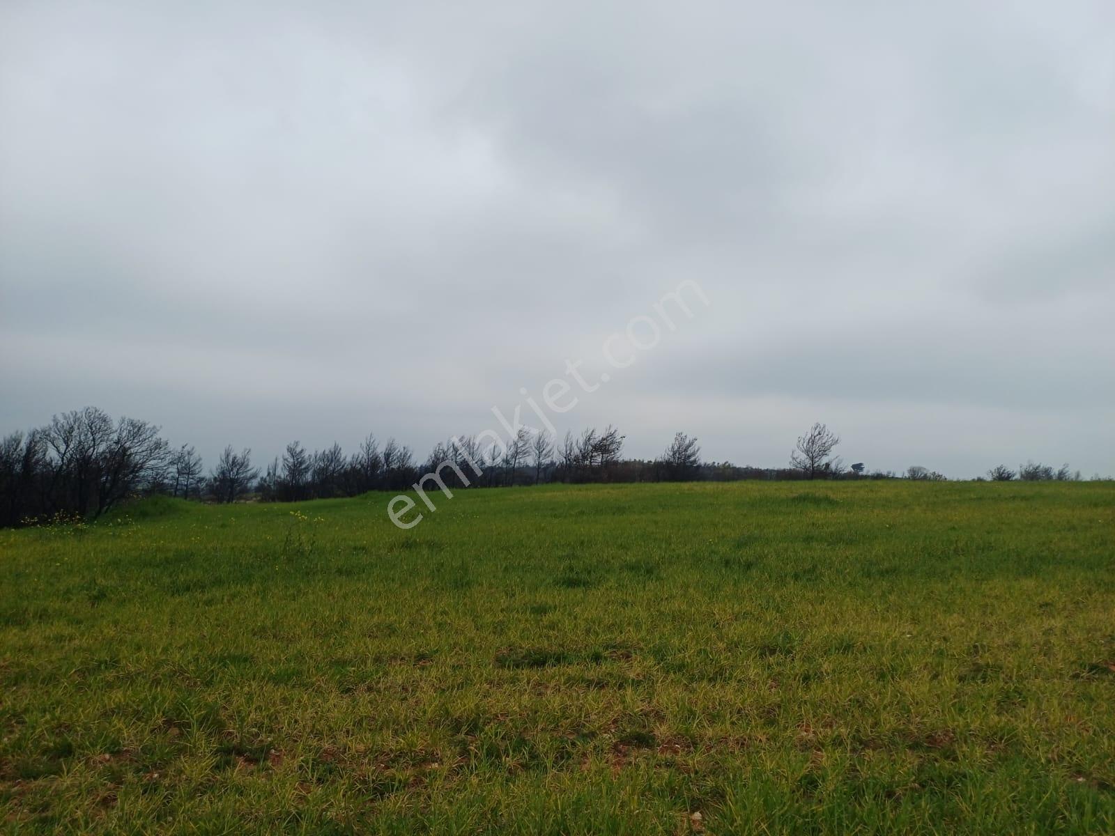 Bayramiç Saçaklı Köyünde 4200 M² Satılık Arazi - Görsel 27