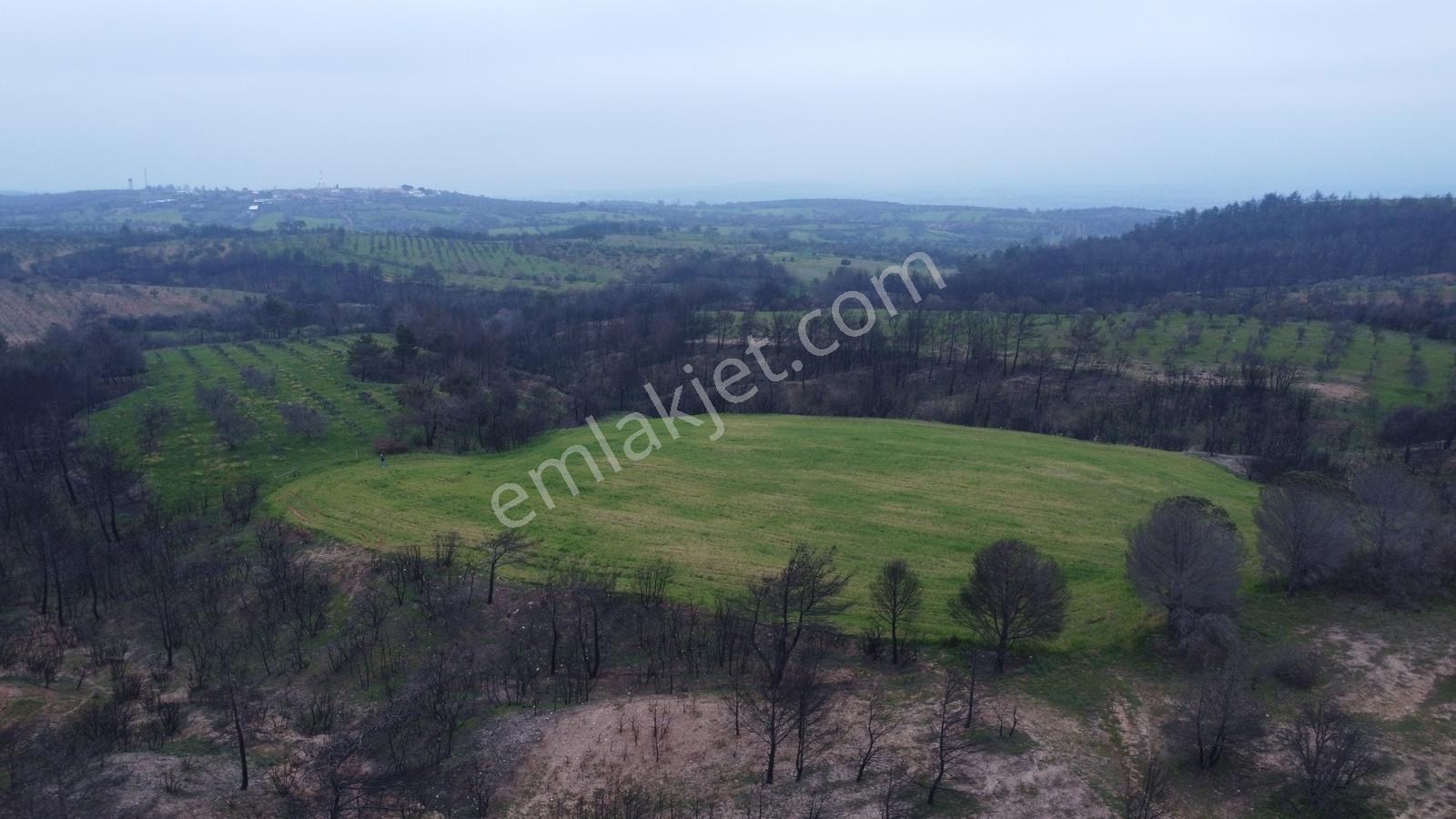 Bayramiç Saçaklı Köyünde 4200 M² Satılık Arazi - Görsel 10