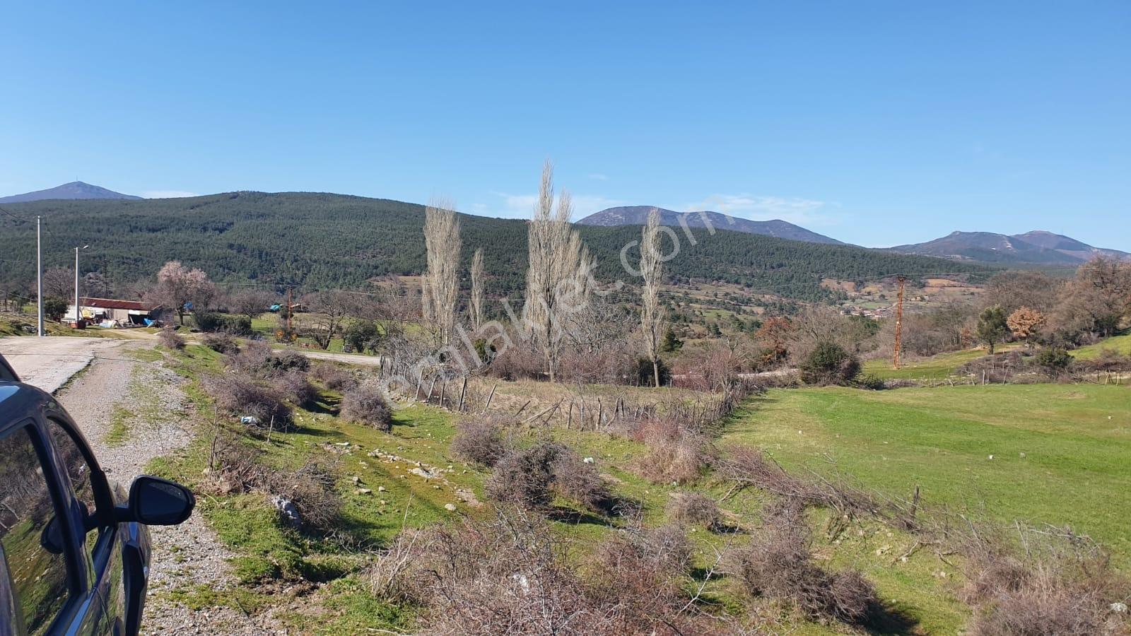 Bayramiç Söğütgediği Köyünde 1310 M² İmarlı Arsa - Görsel 13