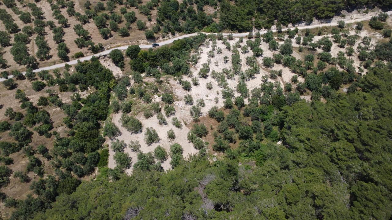 Aşağışakranda 2130m2 Tek Tapu Yolu Olan Satılık Zeytinlik - Görsel 8