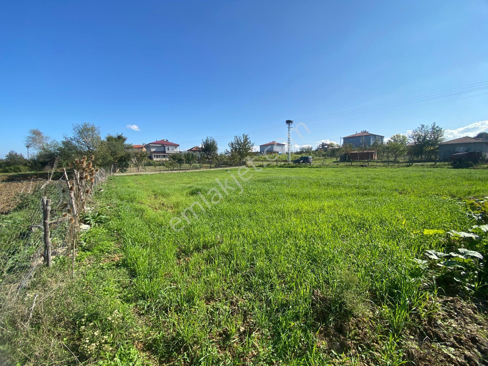 Sinop Saraydüzü’nde Konut İmarlı 800 M² Satılık Arsa | Yatırımlık Fırsat! - Görsel 7