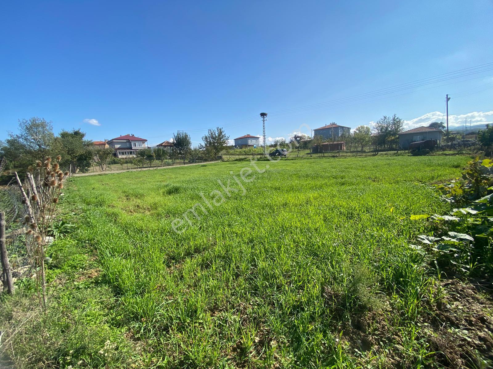 Sinop Saraydüzü’nde Konut İmarlı 800 M² Satılık Arsa | Yatırımlık Fırsat! - Görsel 9