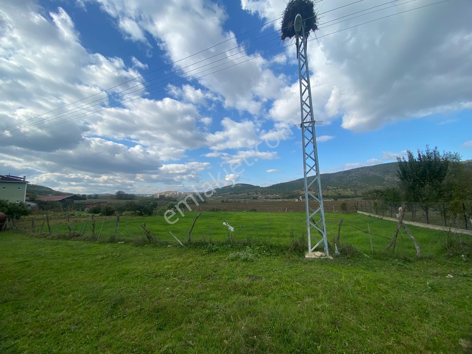 Sinop Saraydüzü’nde Konut İmarlı 800 M² Satılık Arsa | Yatırımlık Fırsat!