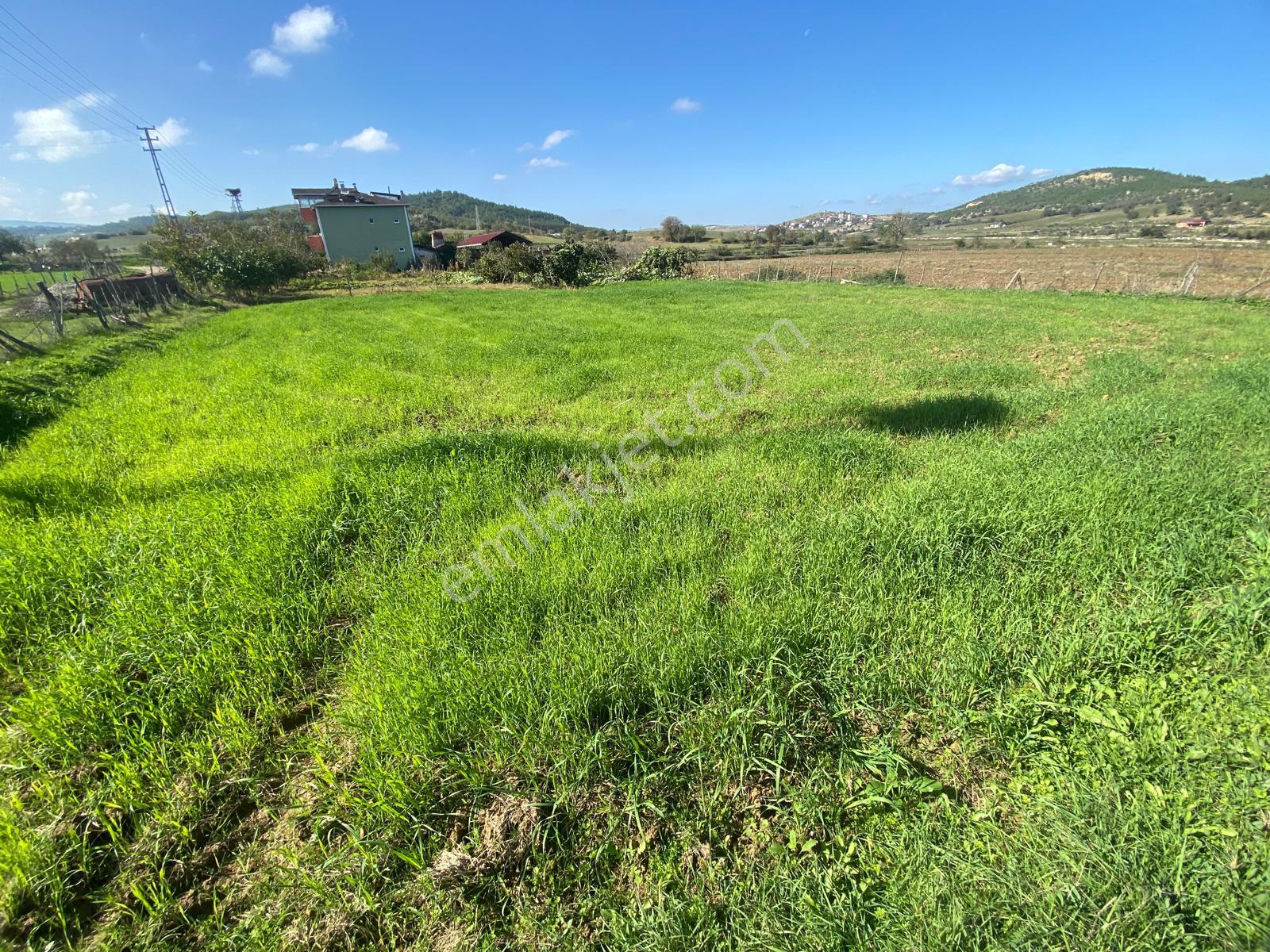 Sinop Saraydüzü’nde Konut İmarlı 800 M² Satılık Arsa | Yatırımlık Fırsat! - Görsel 8