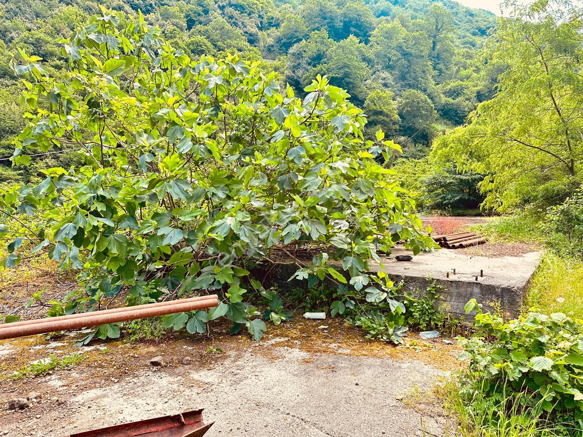 Trabzon Yomra İlçesinde Satılık Ticari İmarlı Arsa - Görsel 7