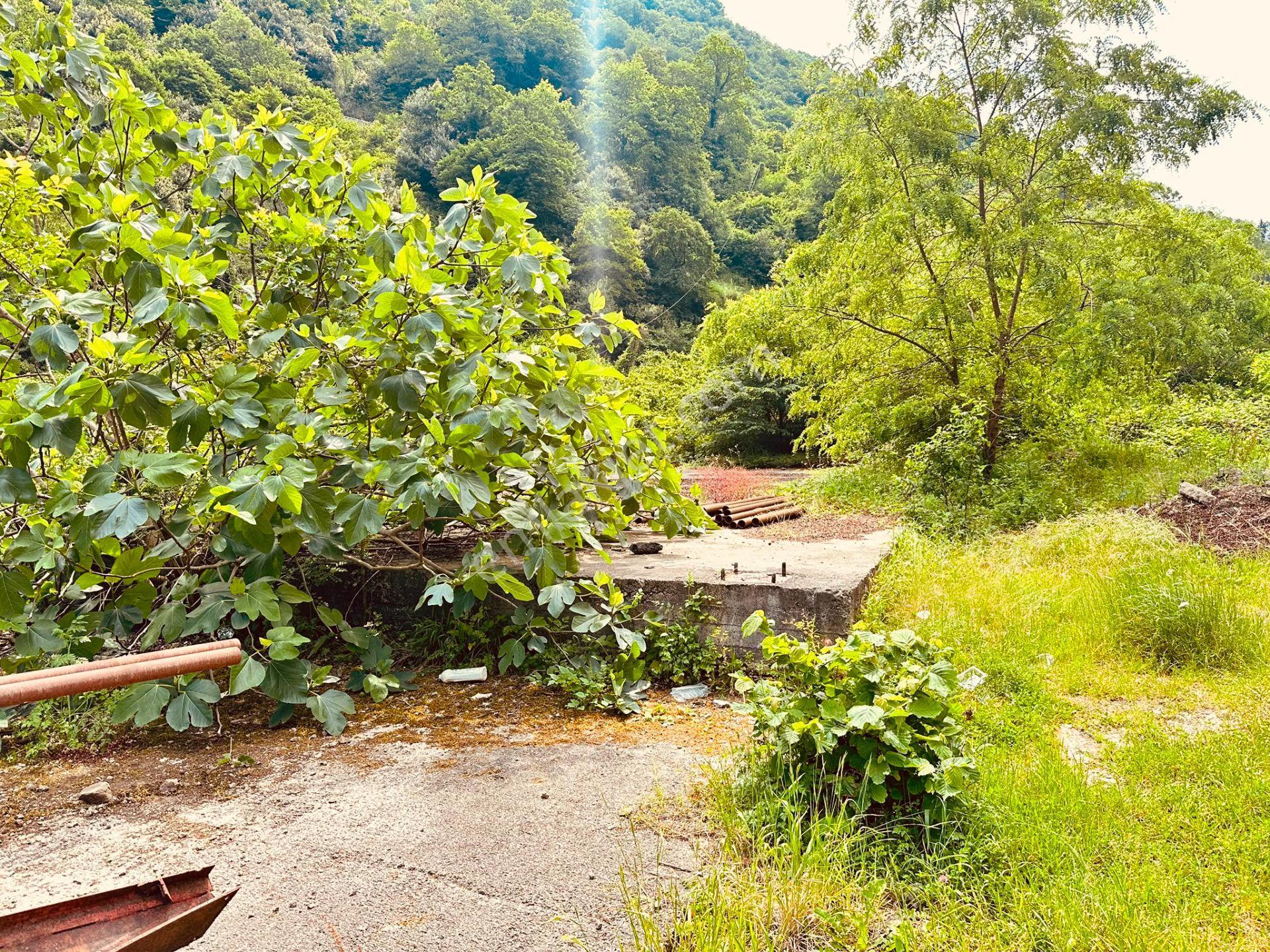 Trabzon Yomra İlçesinde Satılık Ticari İmarlı Arsa - Görsel 10
