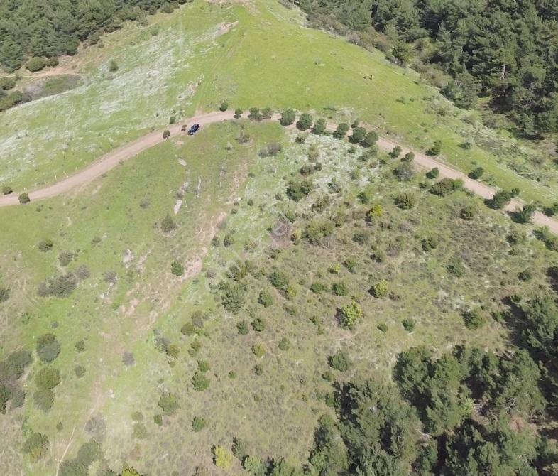Kemalpaşa'da Çevreye Hakim Çok Özel Bir Tepe 13.419 M2 Arazi - Görsel 6