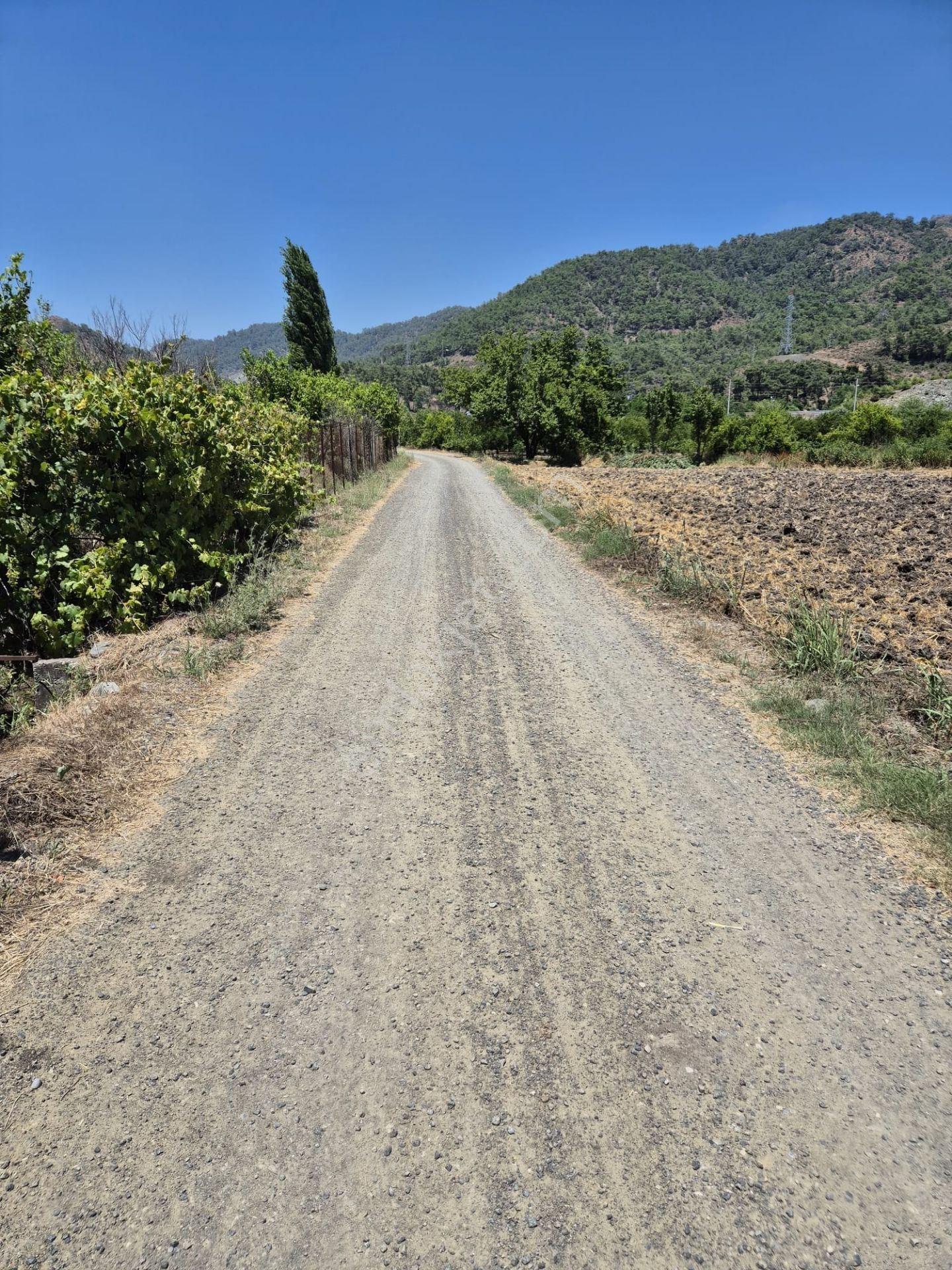 Muğla Orataca'da Kaçmaz Fırsat Satılık Tarla - Görsel 6