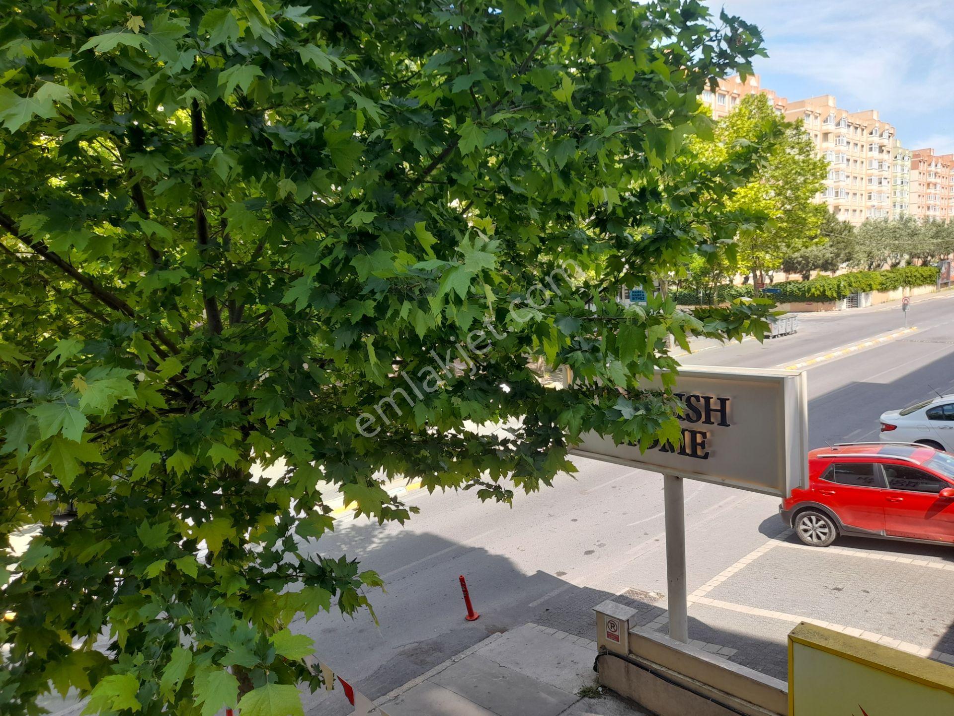 Beylikdüzü Kavaklı Mah. Devlet Kurumlarına Yakın 2+1 Kiralık Daire - Görsel 6