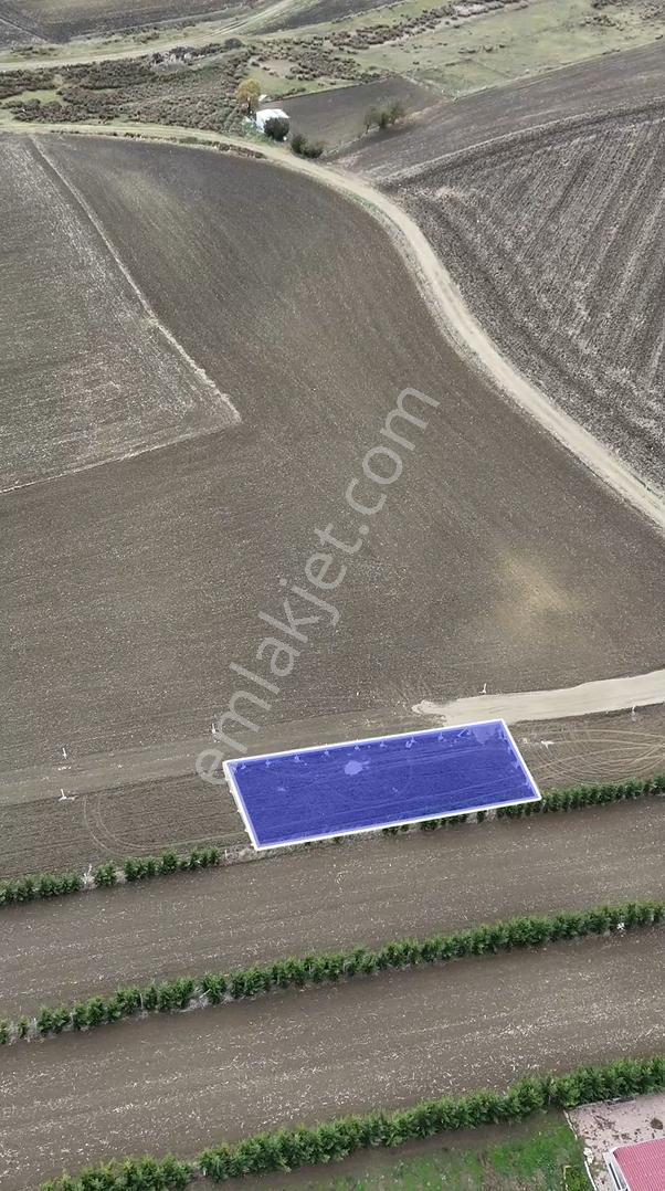 Fener'de Satılık 430 M2 Arsa İçinde Hazır Hobi Bahçesi - Görsel 29