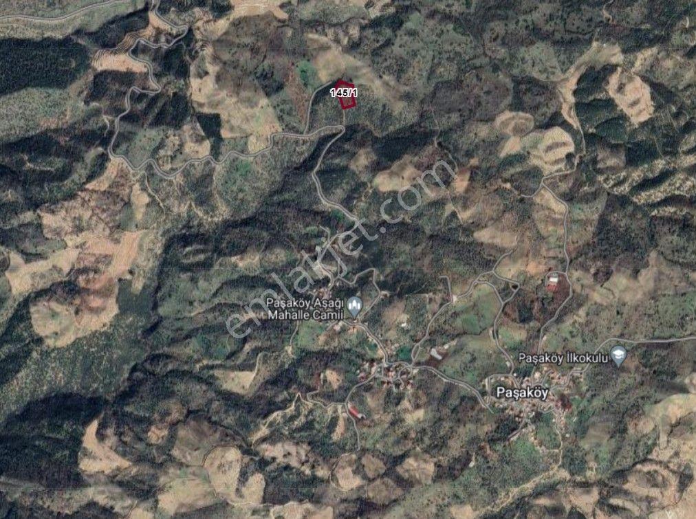 Aydın Yenipazar Paşaköyde Kadastral Yola Cepheli Müstakil Parsel Arazi - Görsel 3