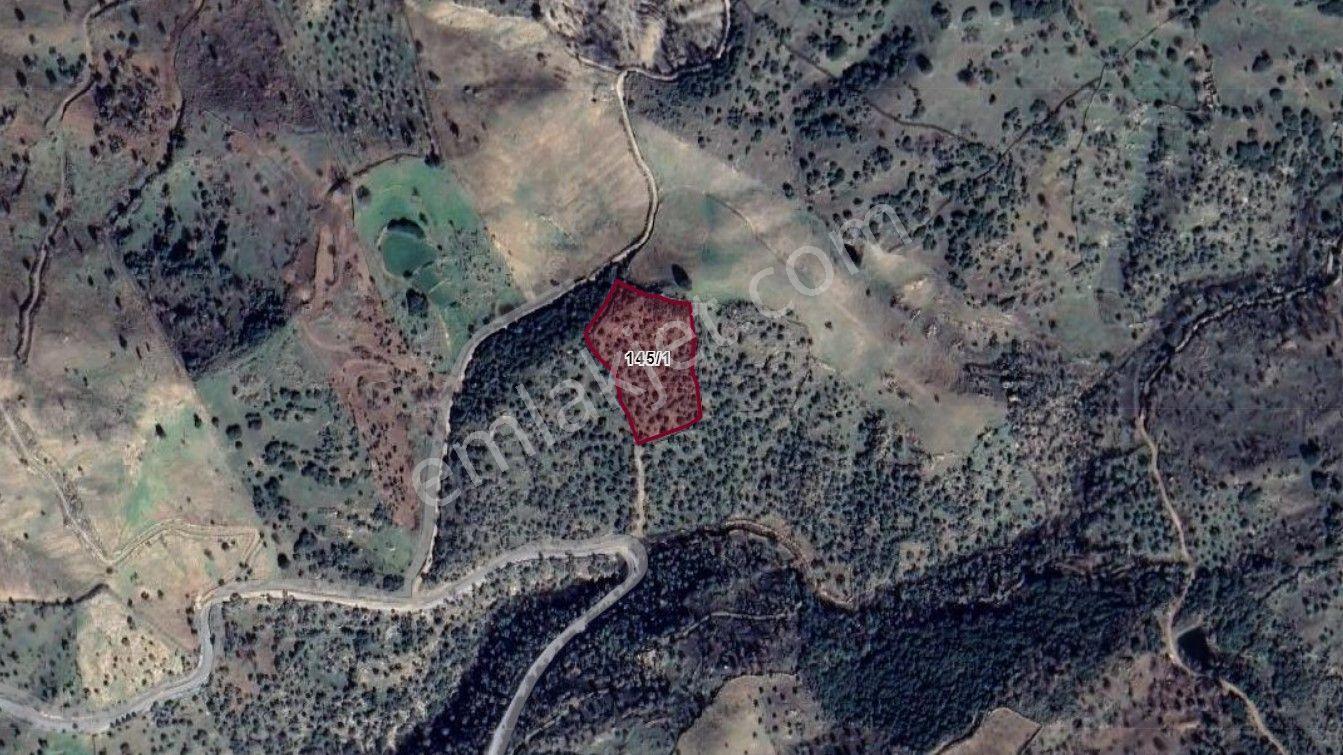Aydın Yenipazar Paşaköyde Kadastral Yola Cepheli Müstakil Parsel Arazi