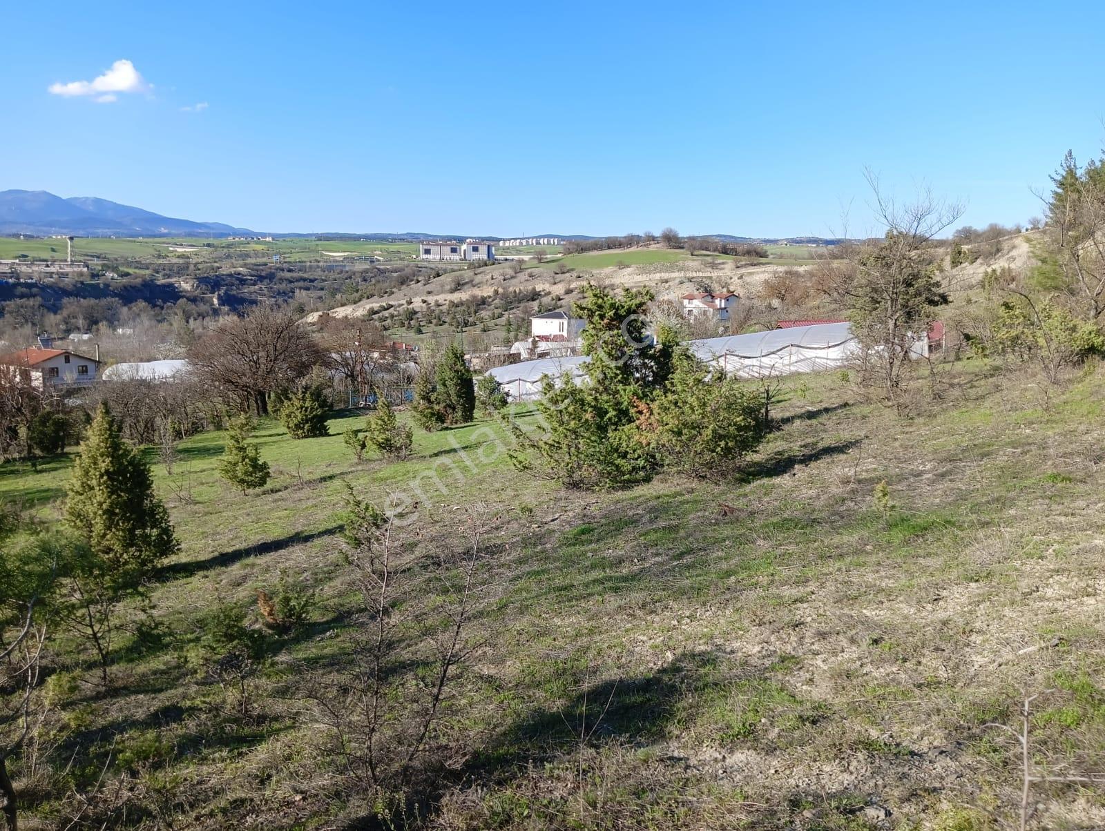Karabük Safranbolu Karıt Köyiçi 1456 M2 Satılık Arsa - Görsel 8