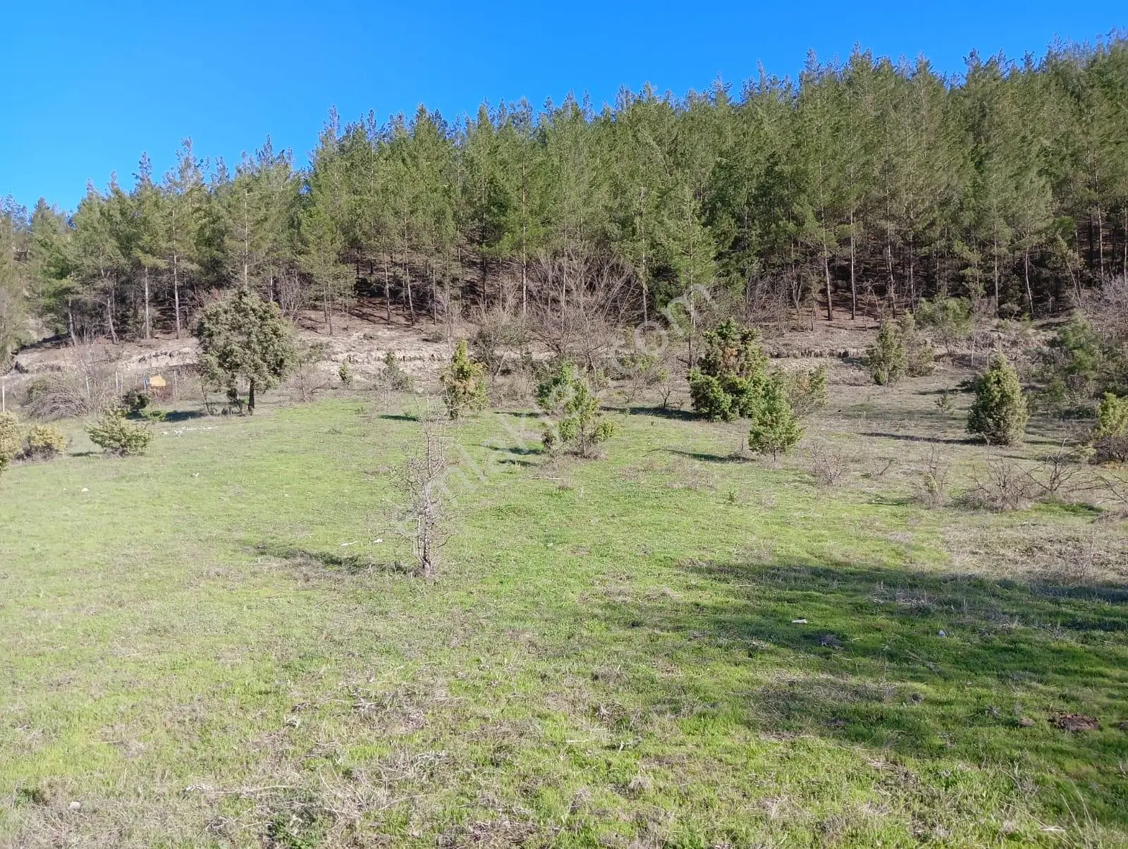 Karabük Safranbolu Karıt Köyiçi 1456 M2 Satılık Arsa - Görsel 3