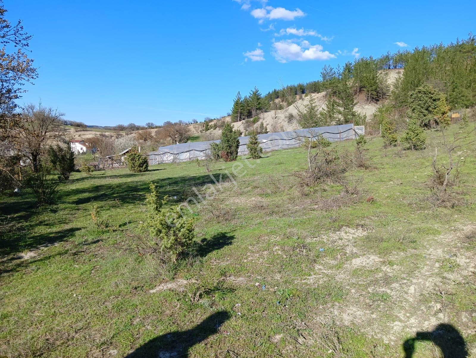 Karabük Safranbolu Karıt Köyiçi 1456 M2 Satılık Arsa - Görsel 18