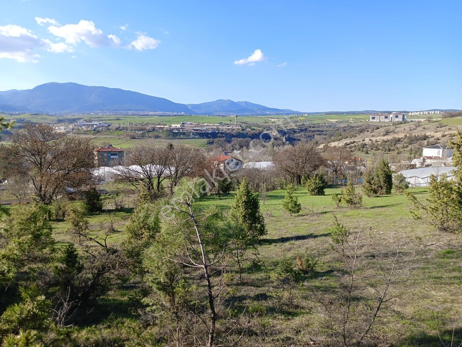 Karabük Safranbolu Karıt Köyiçi 1456 M2 Satılık Arsa - Görsel 19
