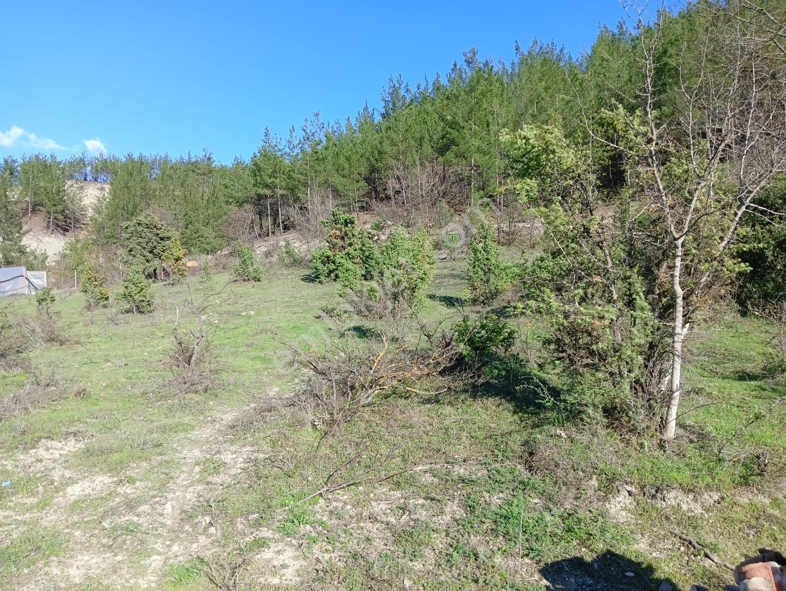 Karabük Safranbolu Karıt Köyiçi 1456 M2 Satılık Arsa - Görsel 9