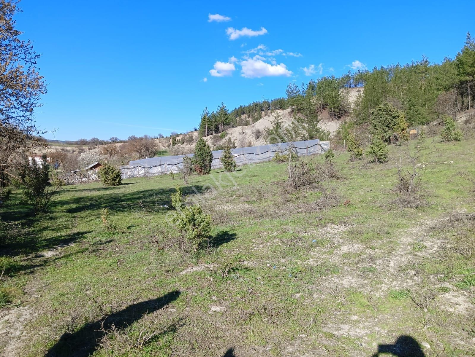 Karabük Safranbolu Karıt Köyiçi 1456 M2 Satılık Arsa - Görsel 5