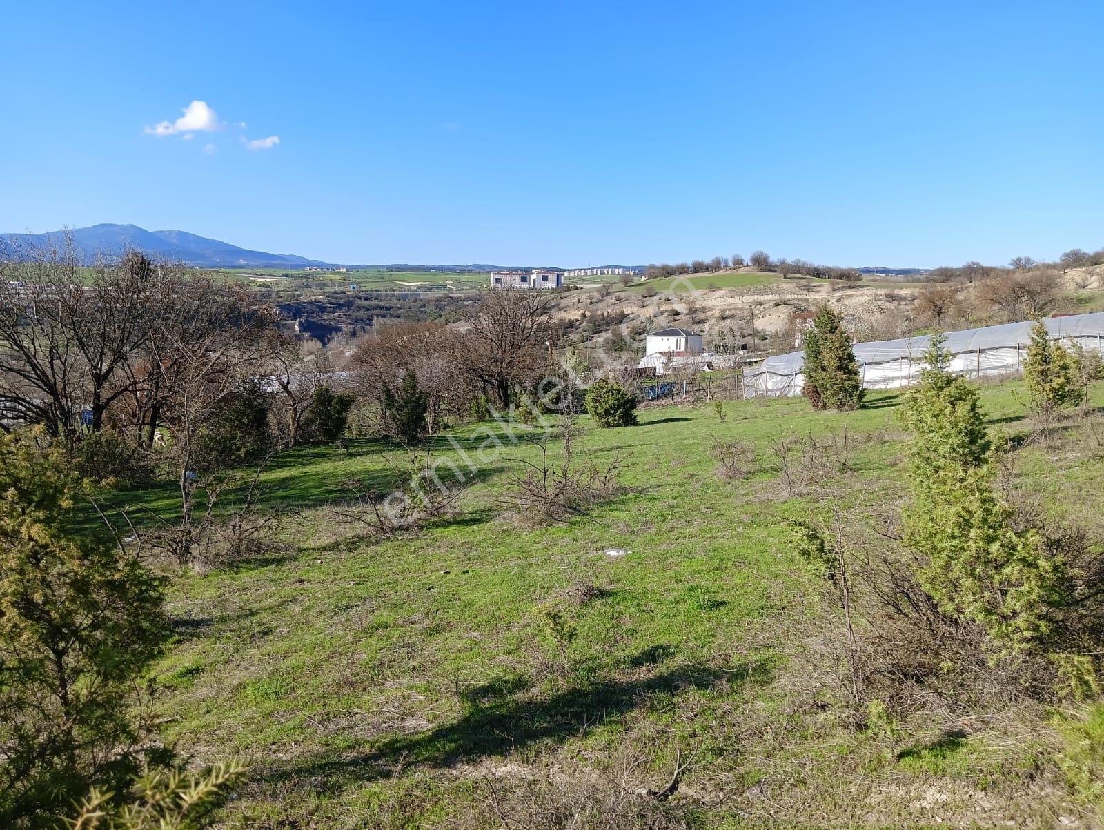 Karabük Safranbolu Karıt Köyiçi 1456 M2 Satılık Arsa - Görsel 2