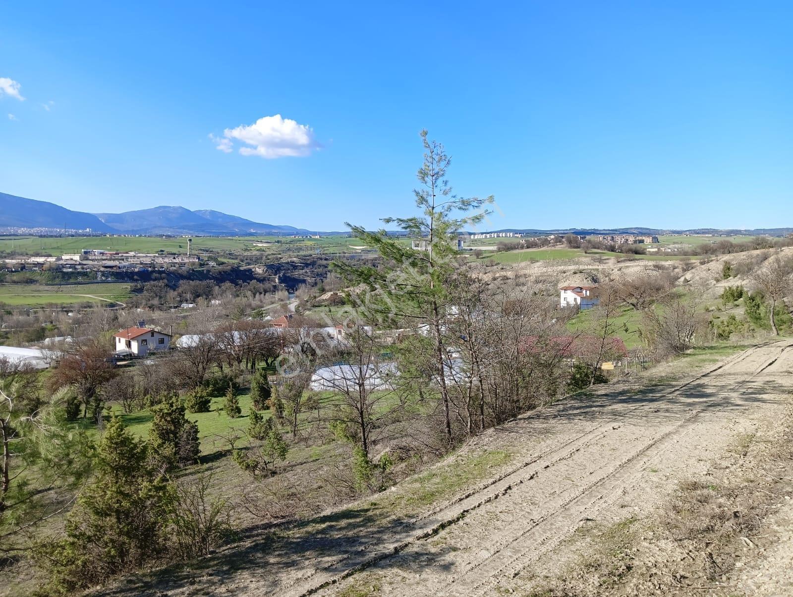 Karabük Safranbolu Karıt Köyiçi 1456 M2 Satılık Arsa - Görsel 12