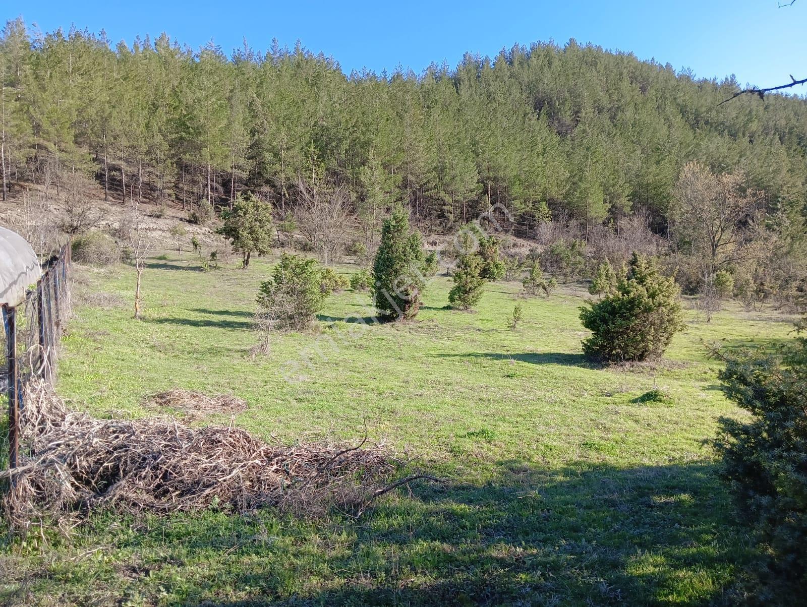Karabük Safranbolu Karıt Köyiçi 1456 M2 Satılık Arsa - Görsel 16