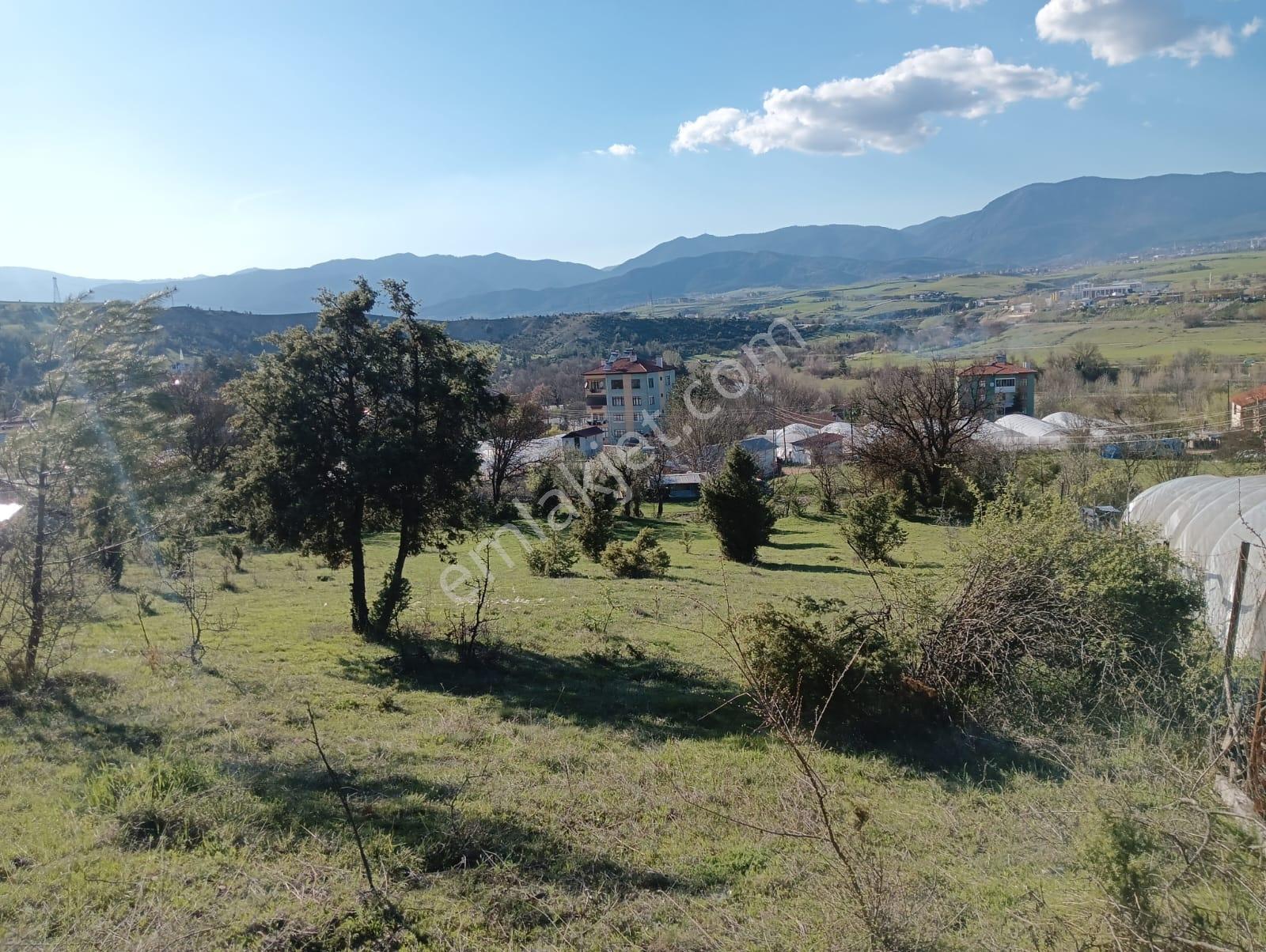 Karabük Safranbolu Karıt Köyiçi 1456 M2 Satılık Arsa - Görsel 20