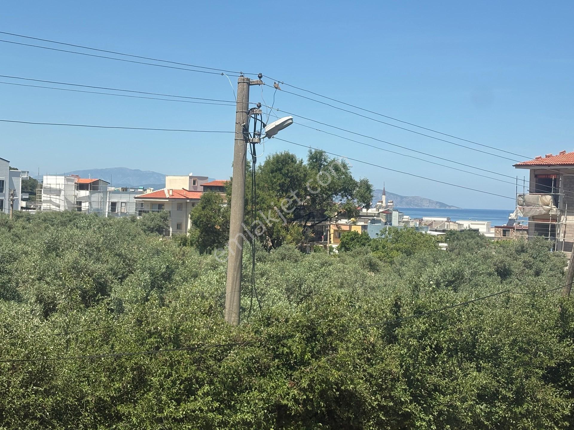Kuşadası Güzelçamlı'da Doğa Deniz Manzaralı Sezonluk Kiralık - Görsel 26