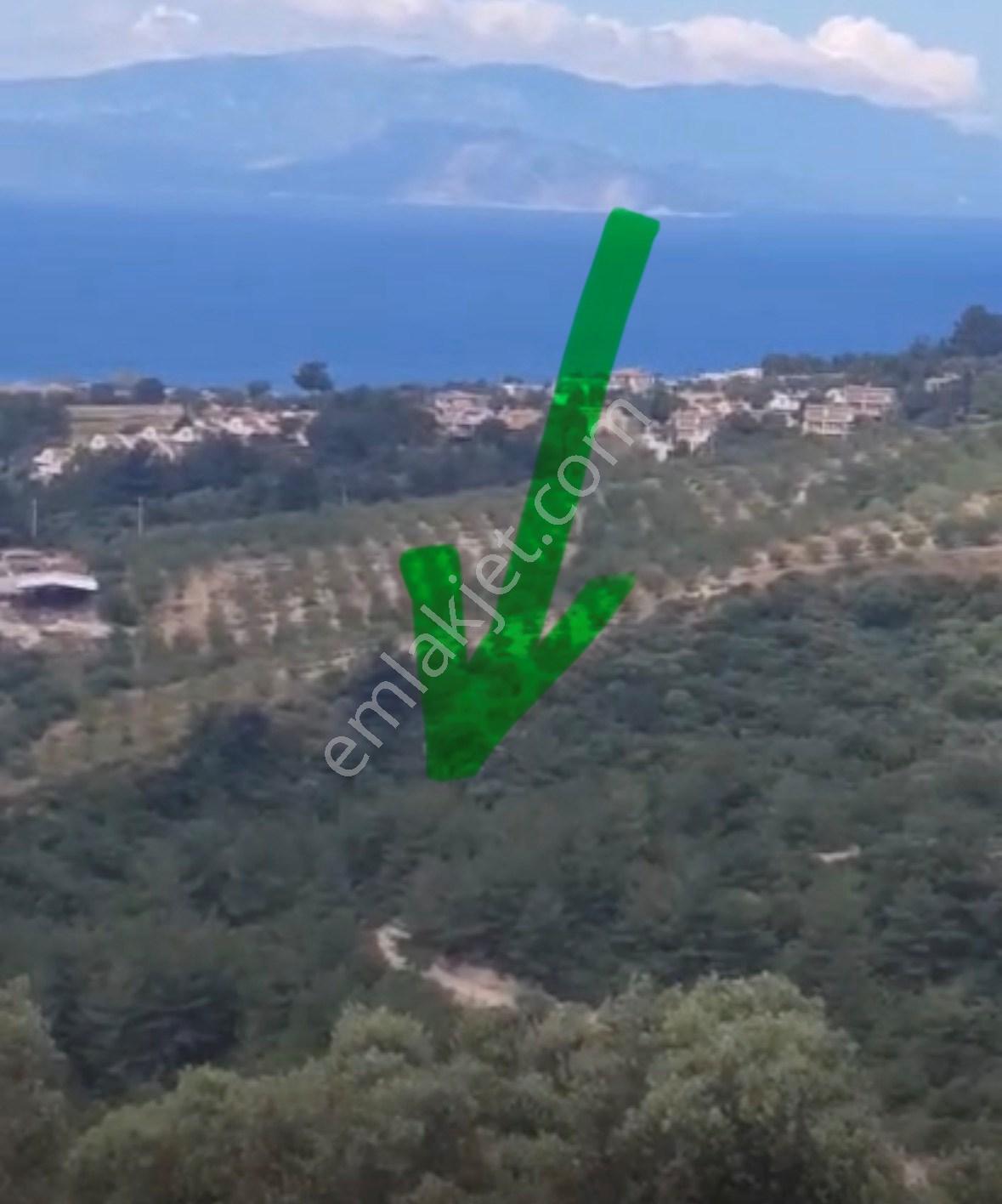 Kuşadası Soğucak Ulucak Mevki Villa Arsası - Görsel 5
