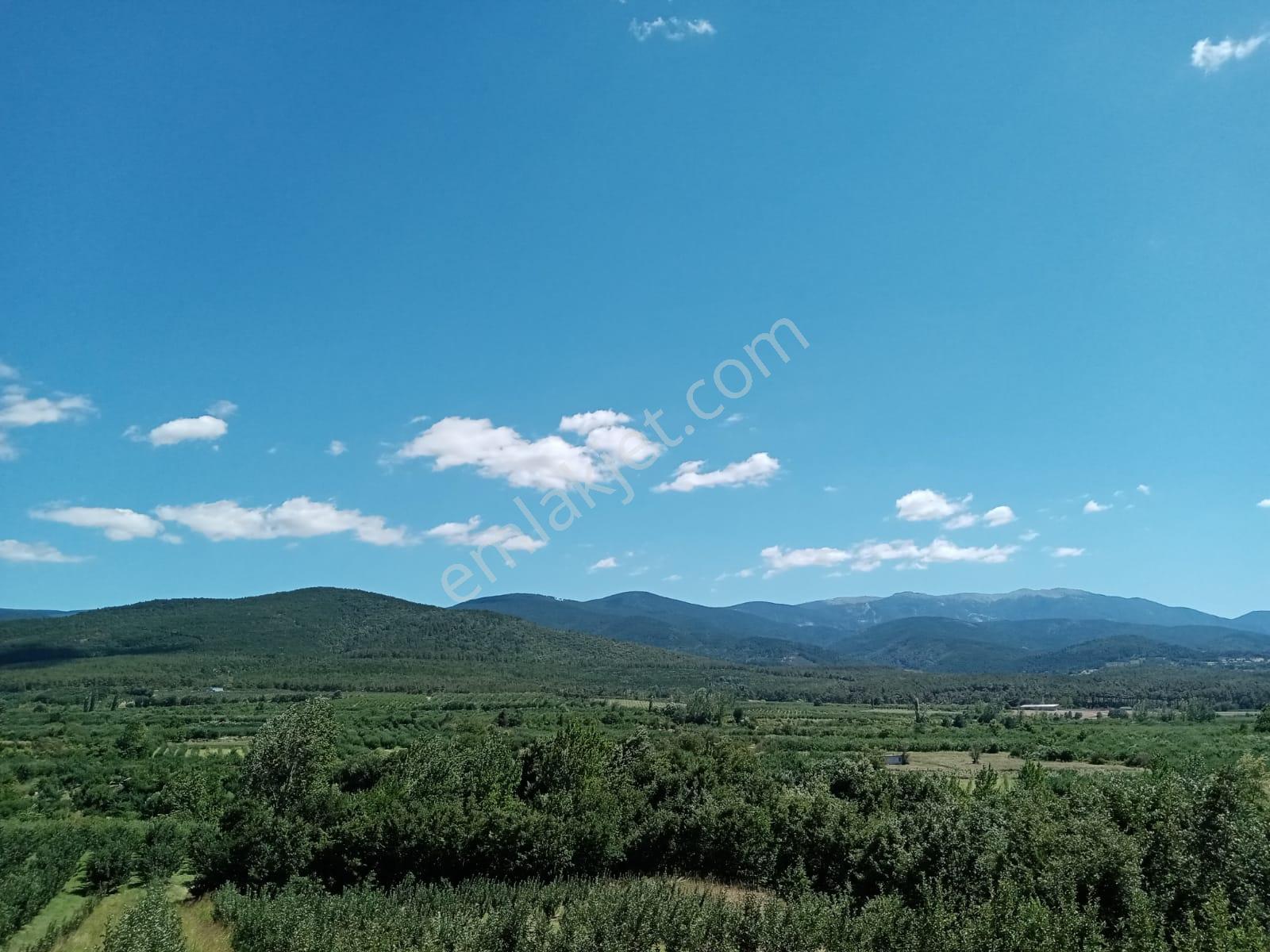 Çanakkale,bayramiç,yeşilköy De Satılık Tarla - Görsel 23