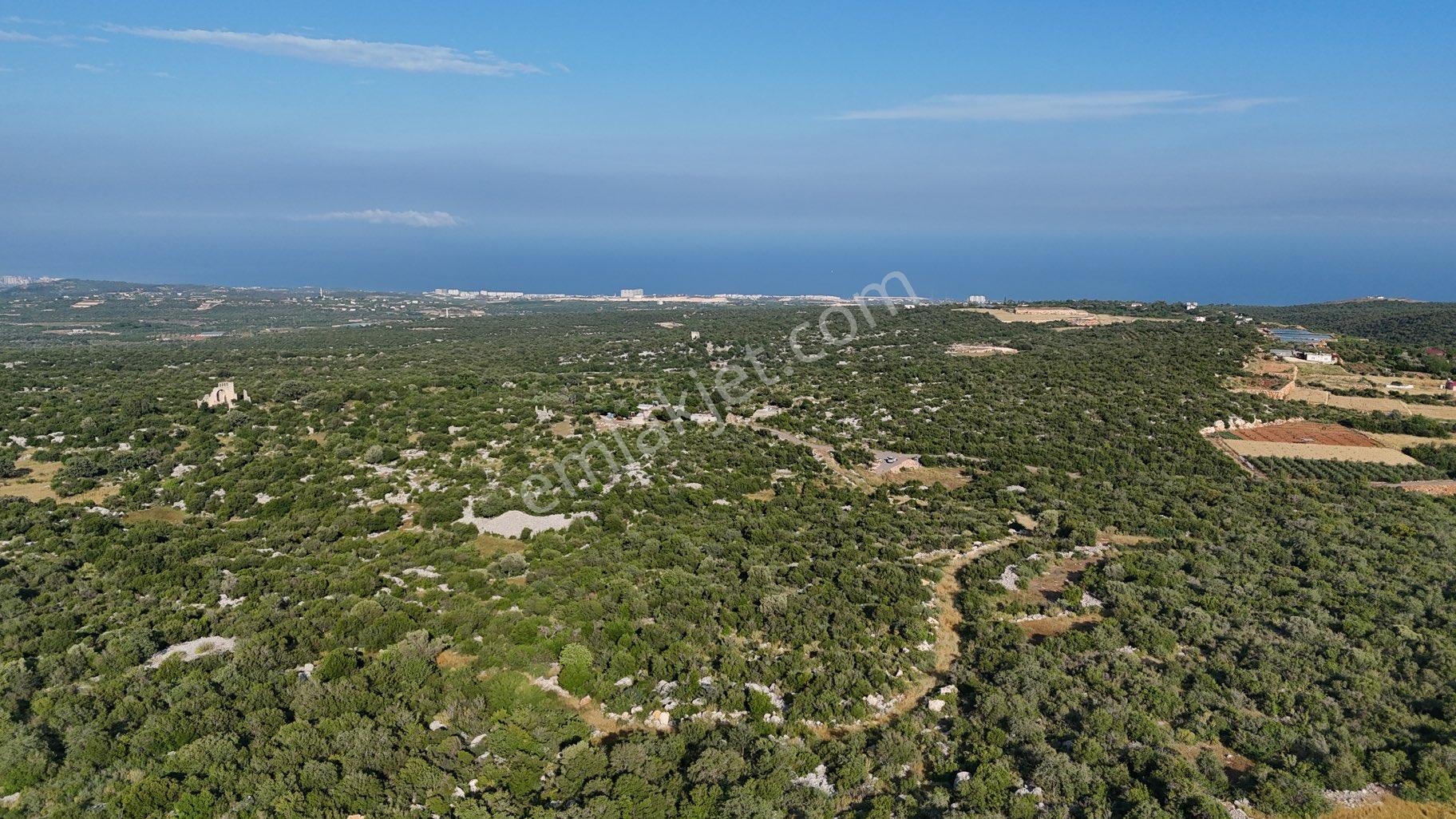 Batısandal Da Dağ Deniz Ve Tarihi Yer Manzaralı Tarla - Görsel 5