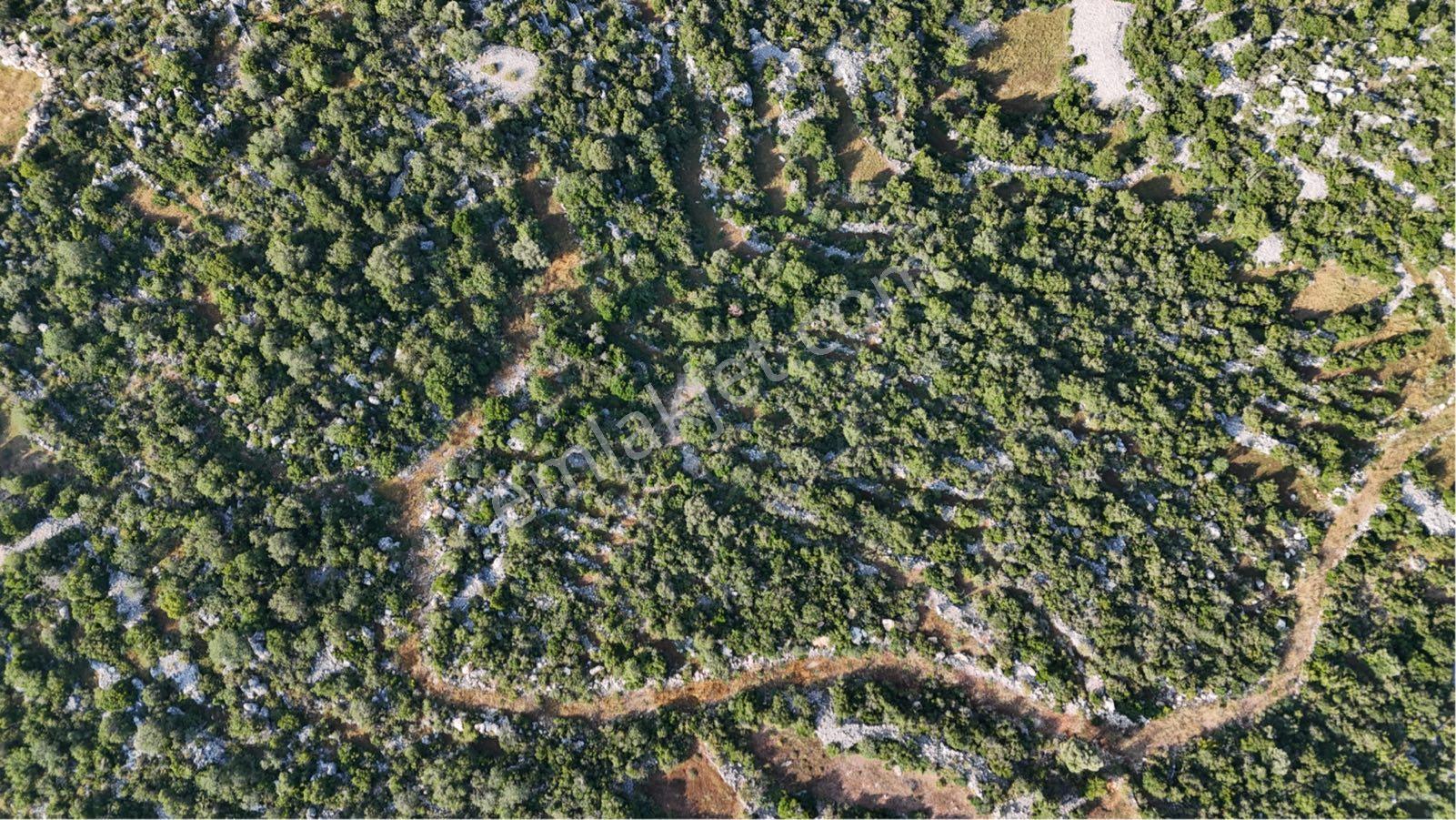Batısandal Da Dağ Deniz Ve Tarihi Yer Manzaralı Tarla - Görsel 10