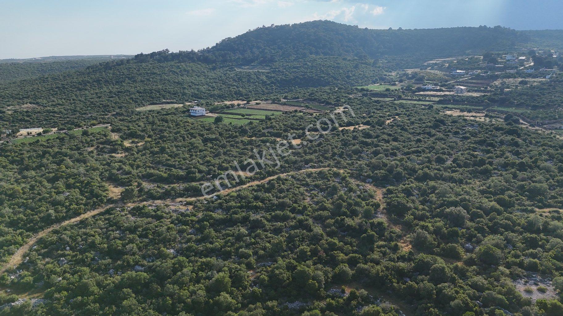 Batısandal Da Dağ Deniz Ve Tarihi Yer Manzaralı Tarla - Görsel 11