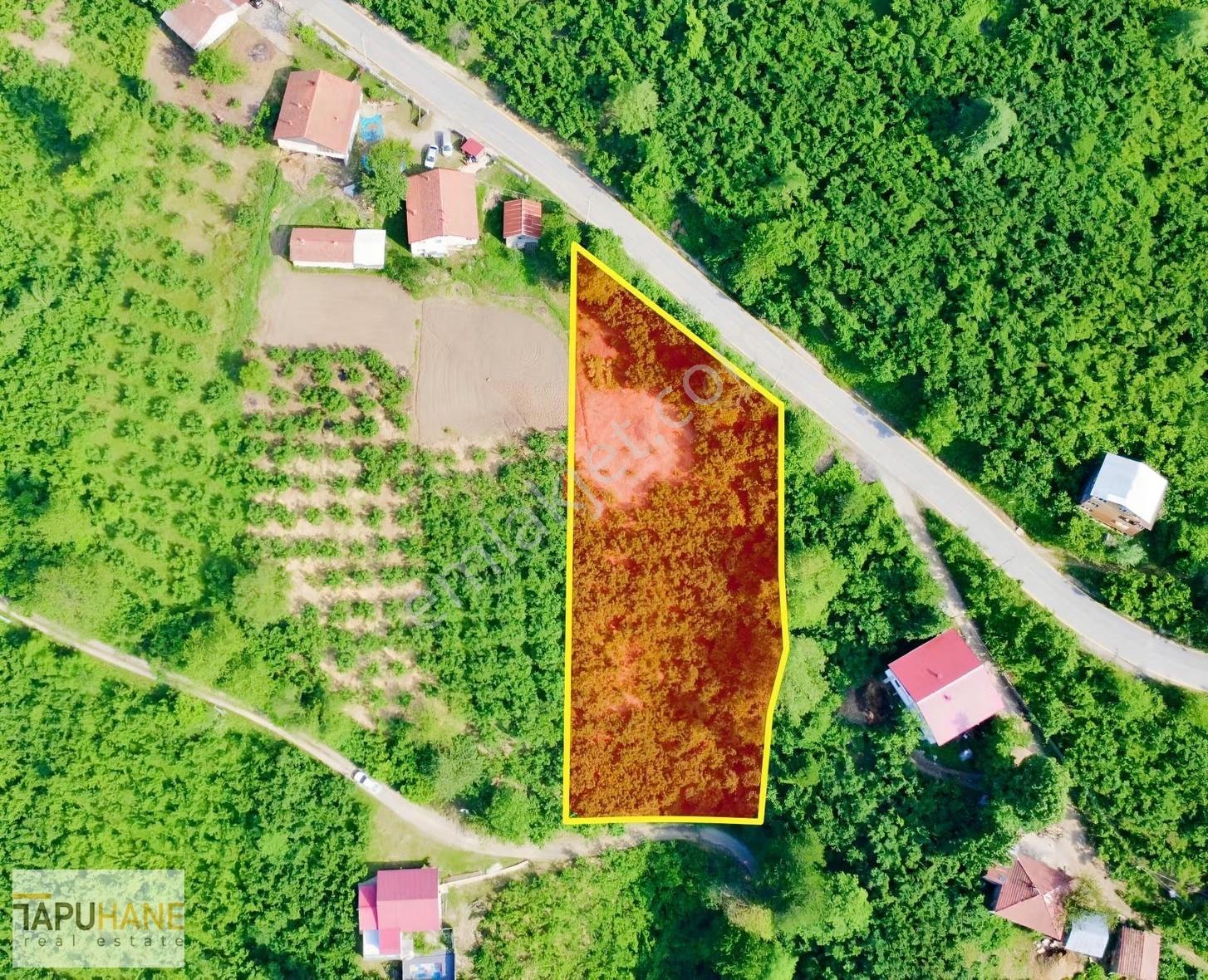 Tapuhane'den Hendek Aksu Köyünde 2223m2 Satılık İmarlı Arsa - Görsel 2
