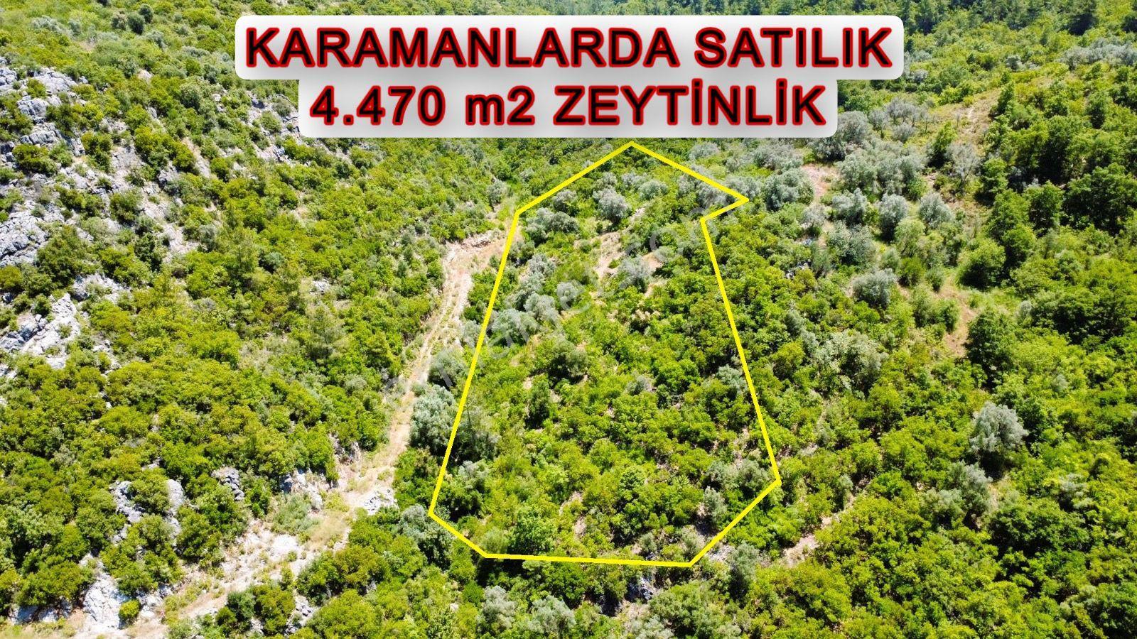 Alanya Karamanlarda Satılık 4.470 M2 Müstakil Tarla