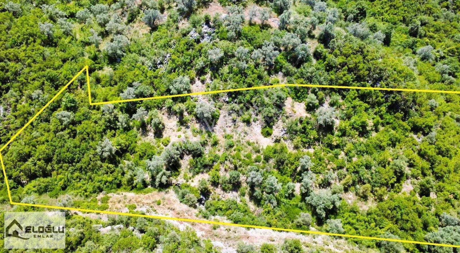 Alanya Karamanlarda Satılık 4.470 M2 Müstakil Tarla - Görsel 14